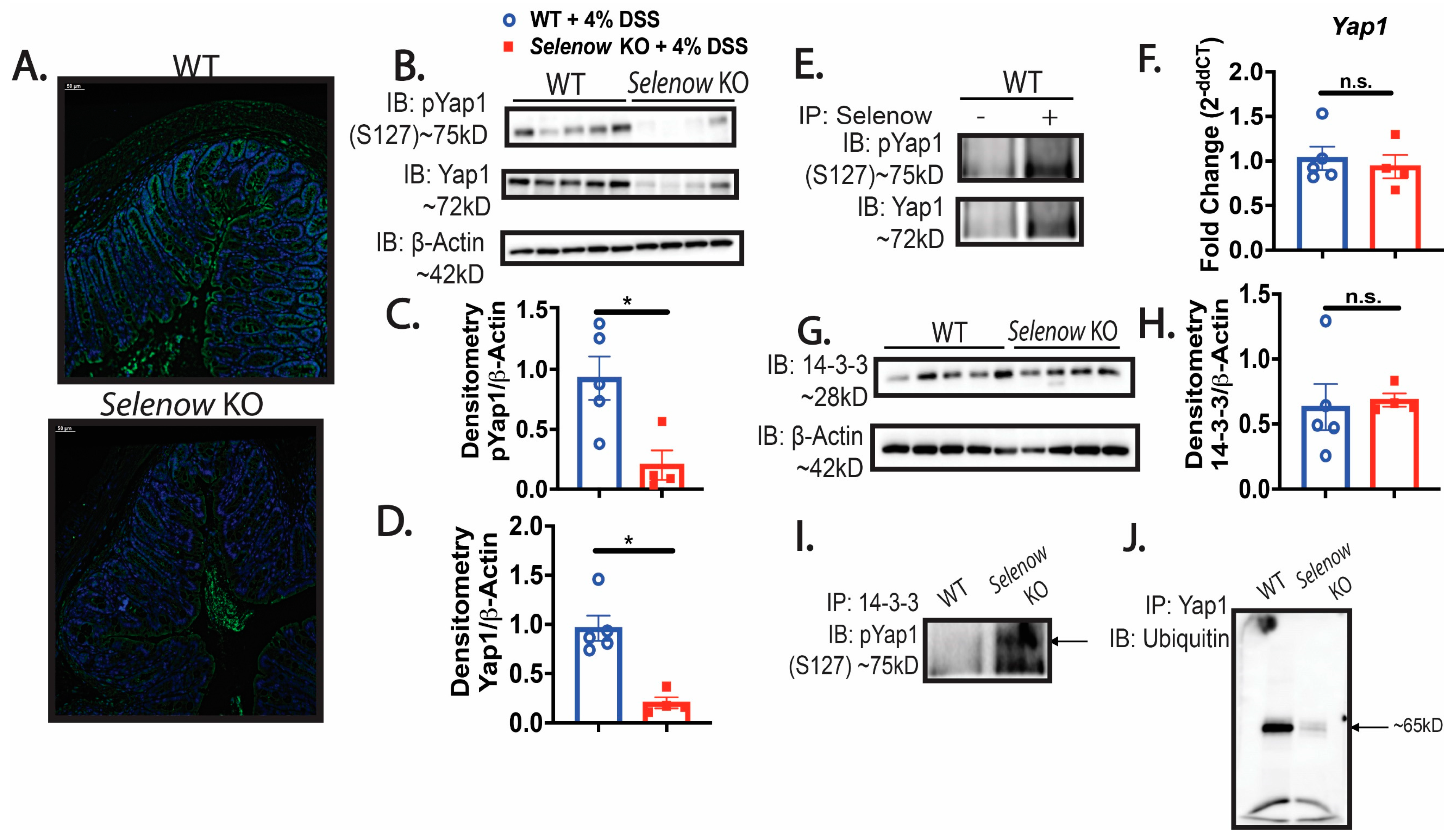 Antioxidants 12 00850 g006