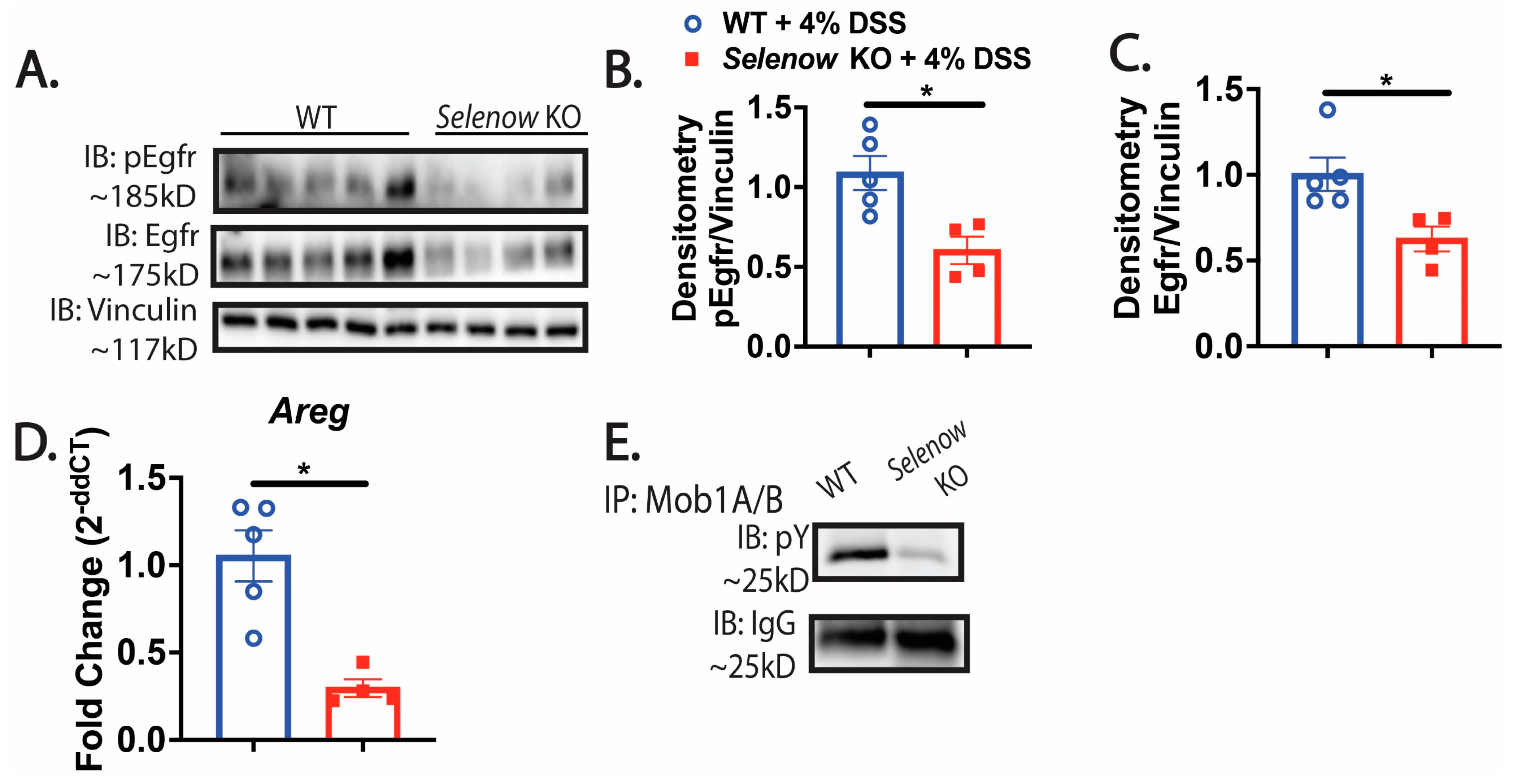 Antioxidants 12 00850 g007