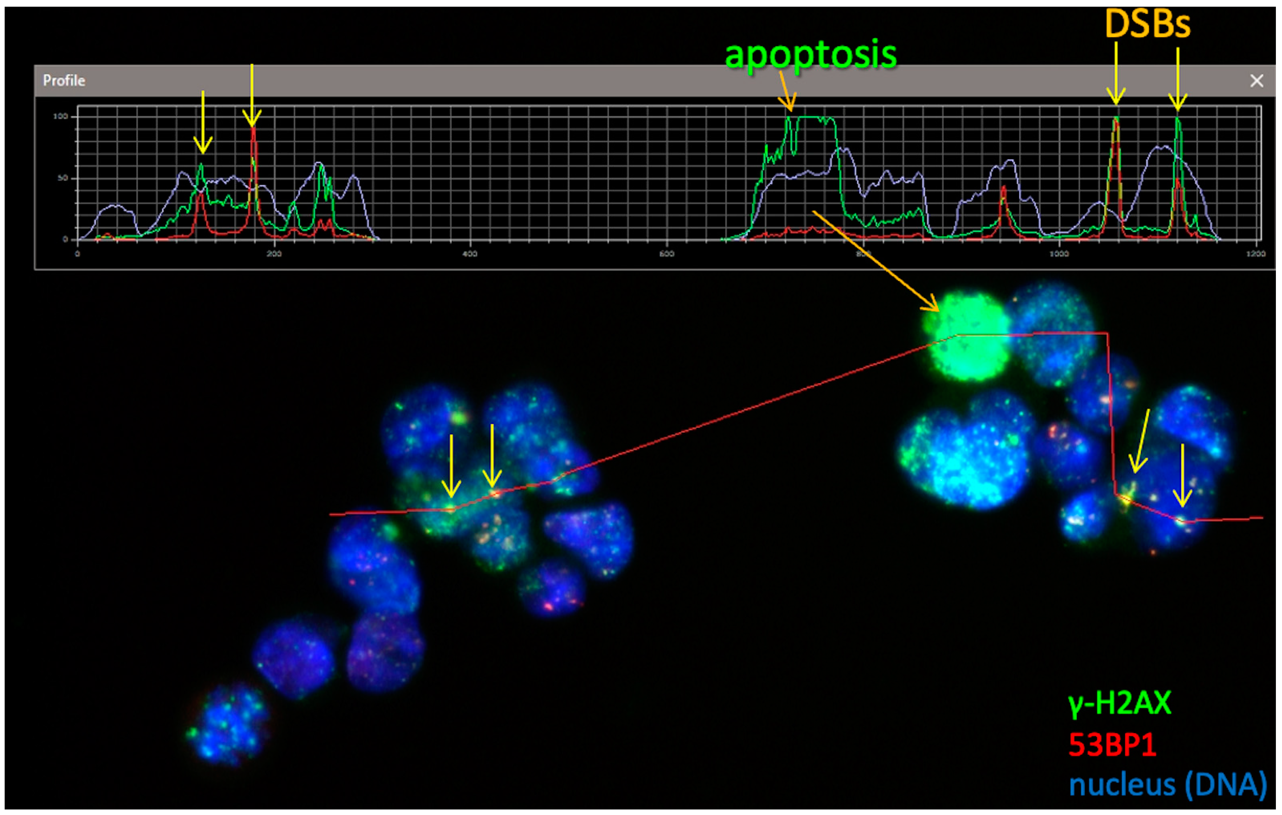 Antioxidants 12 00851 g002