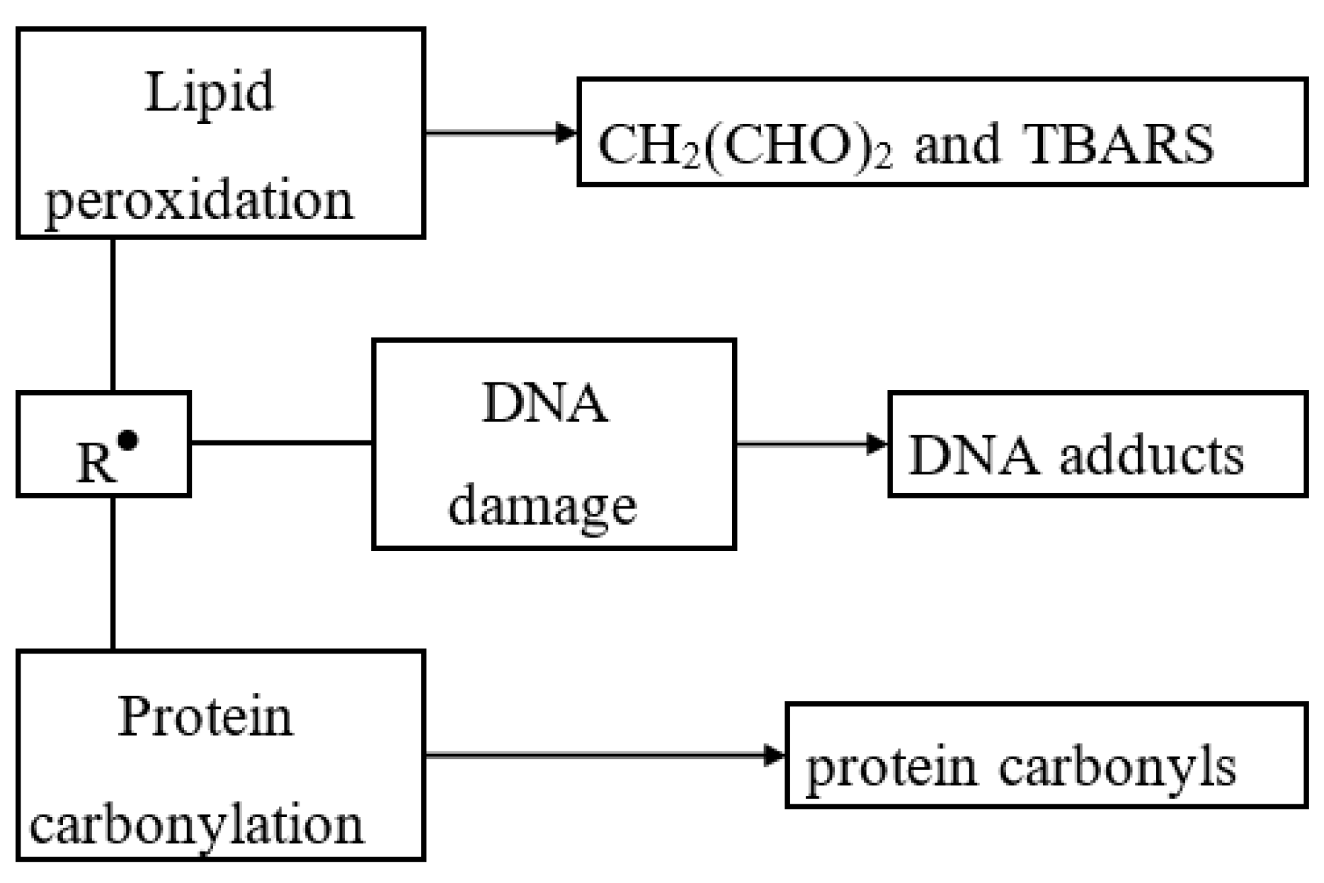 Antioxidants 12 00860 g003 Antioxidants 12 00860 g003