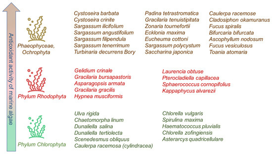 Antioxidants 12 00860 g010