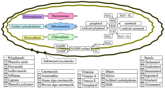 Antioxidants 12 00860 g011