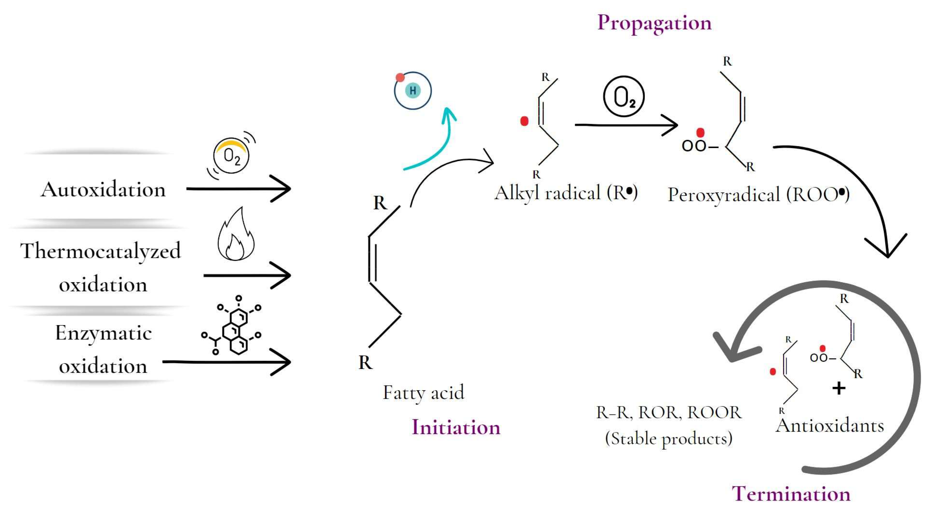 Antioxidants 12 00861 g002