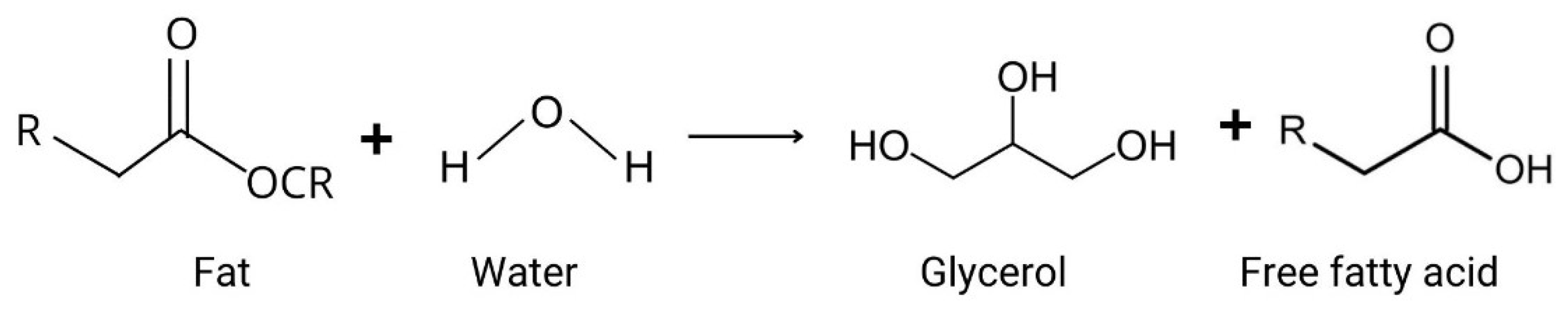 Antioxidants 12 00861 g003
