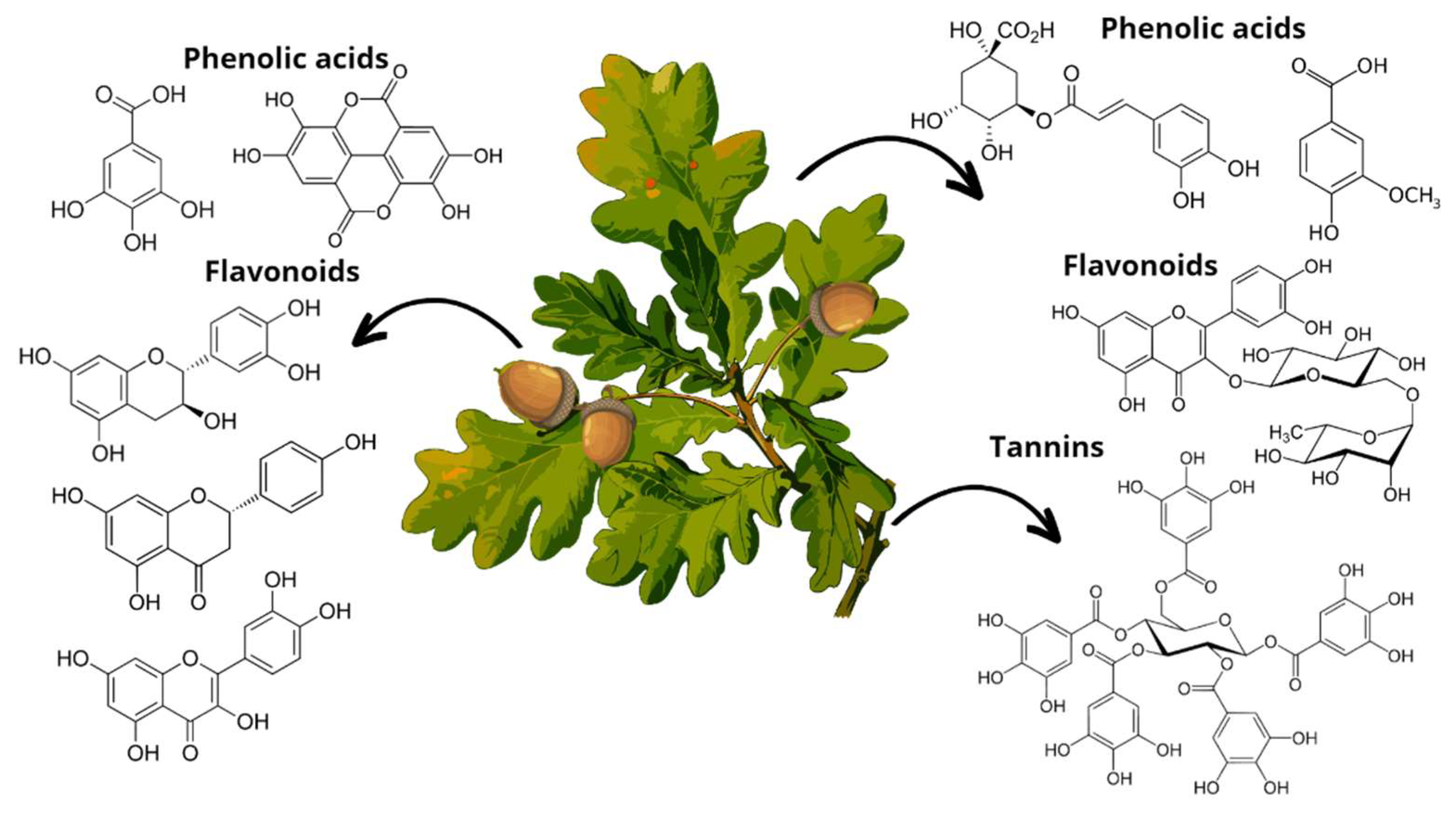 Antioxidants 12 00861 g005