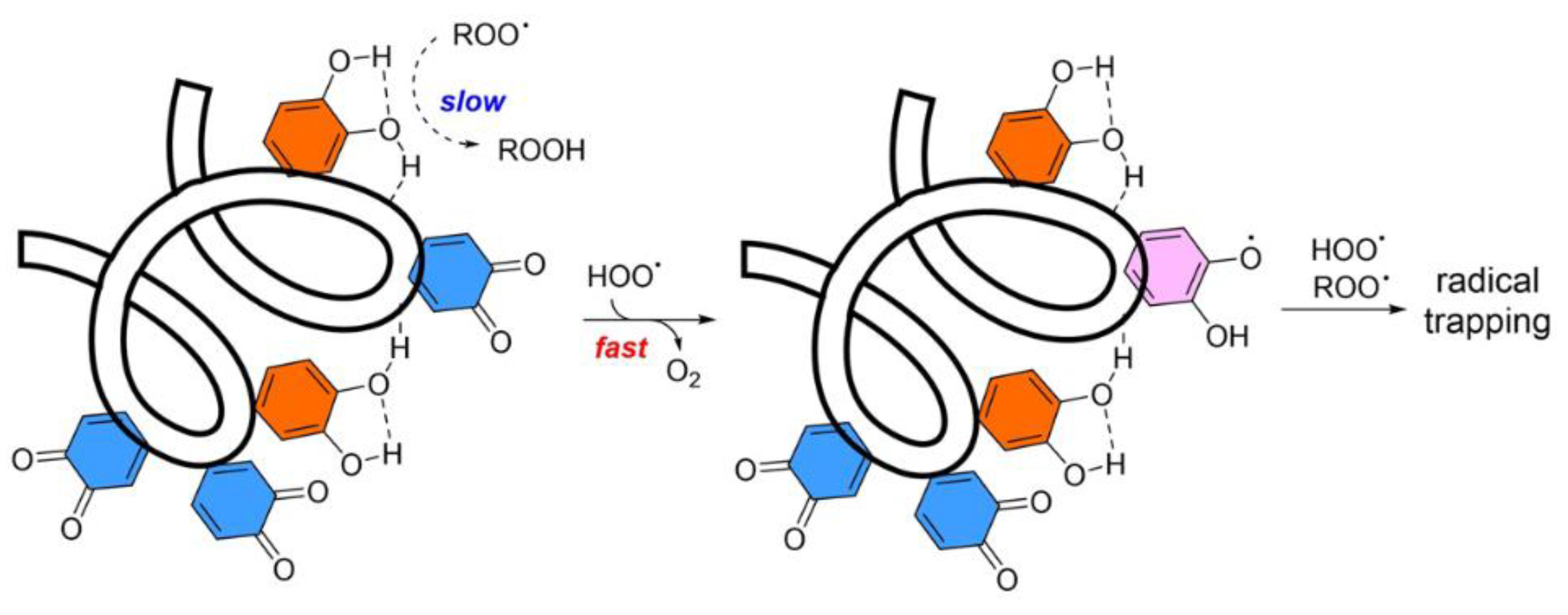 Antioxidants 12 00863 g002
