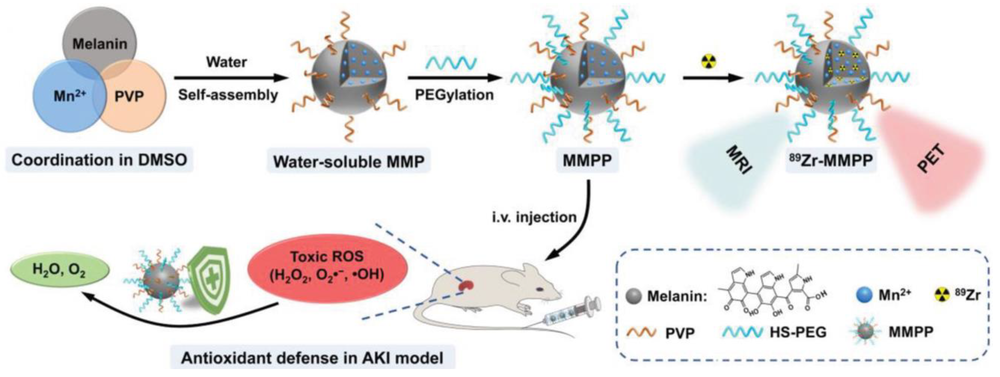 Antioxidants 12 00863 g006