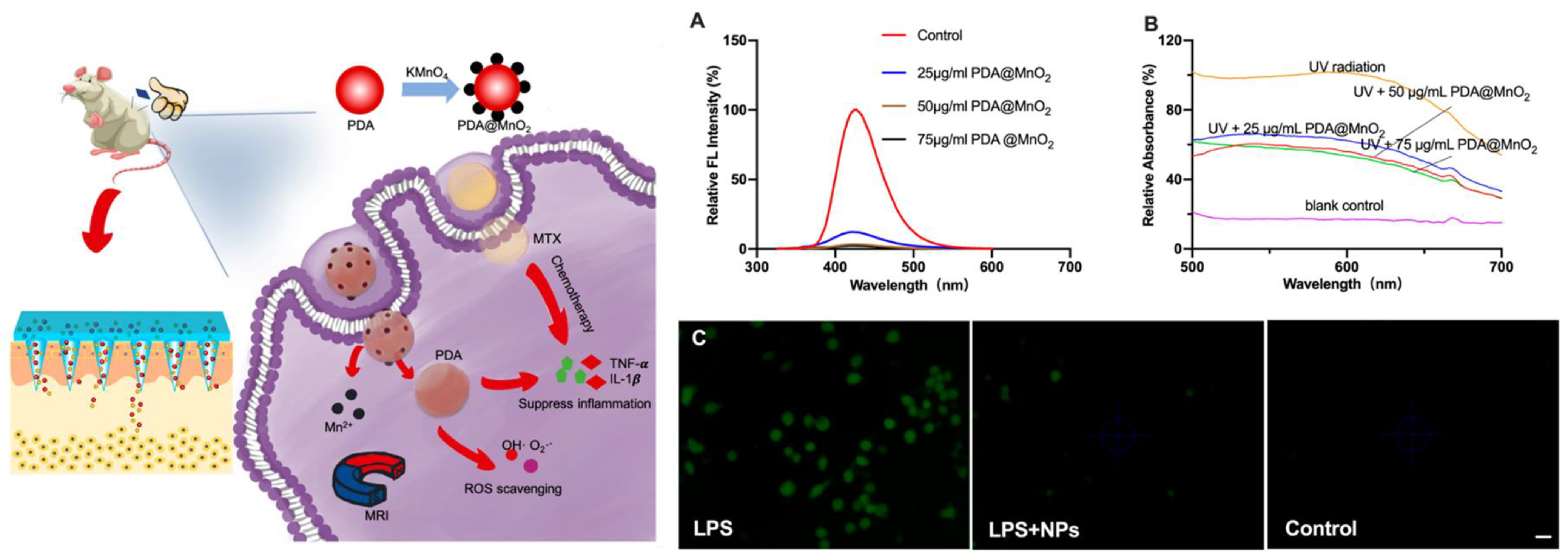 Antioxidants 12 00863 g007