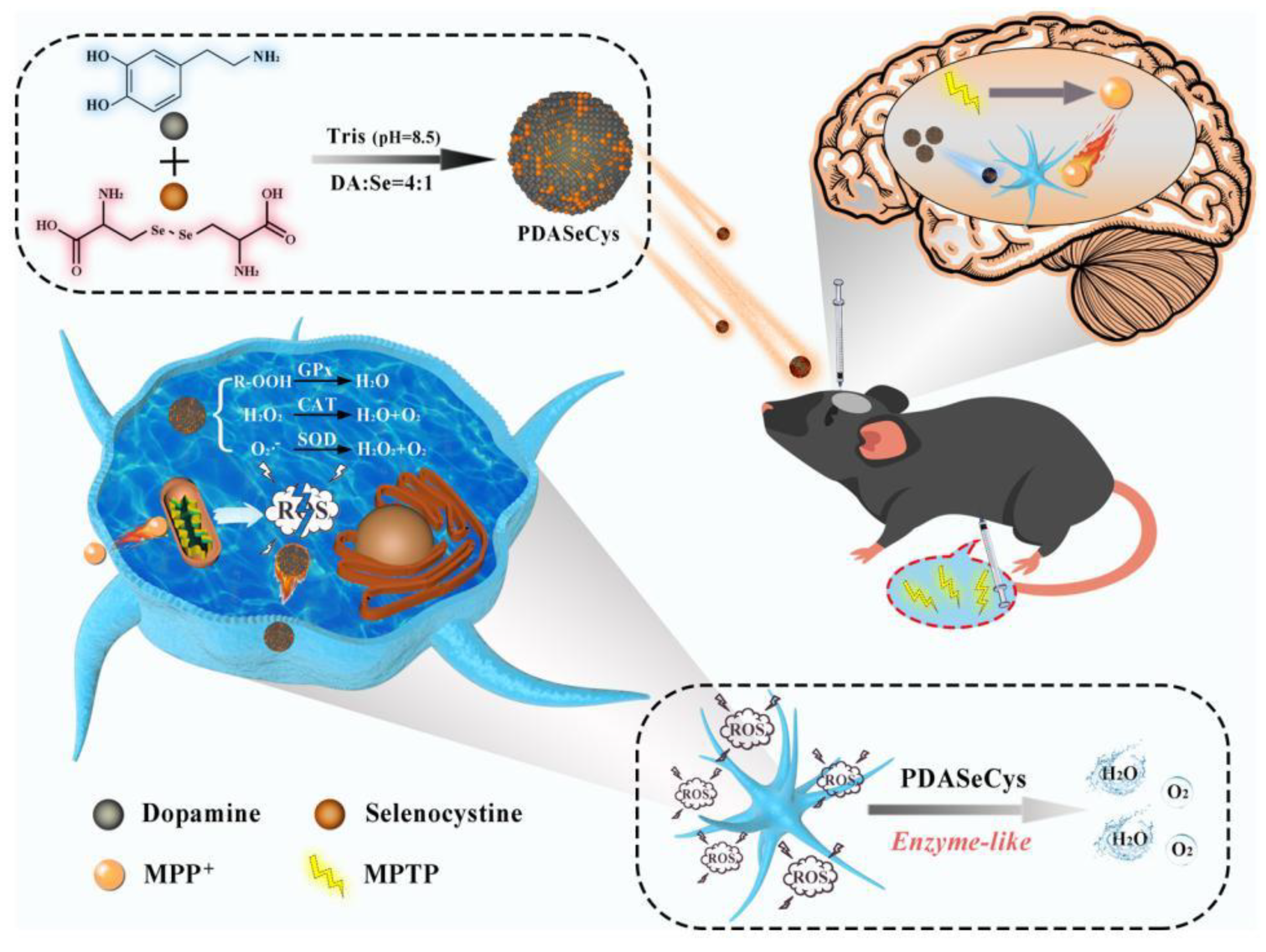 Antioxidants 12 00863 g008