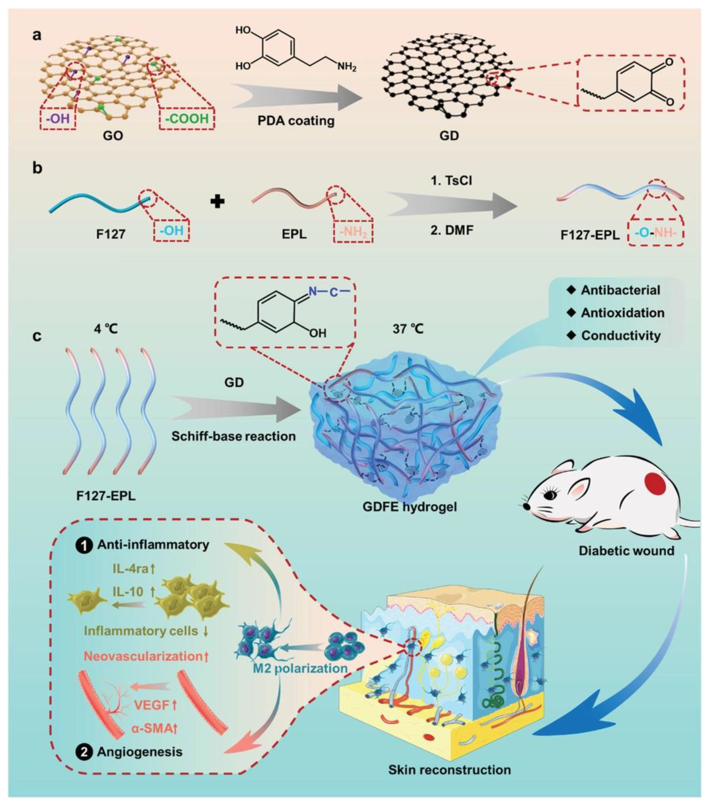 Antioxidants 12 00863 g009