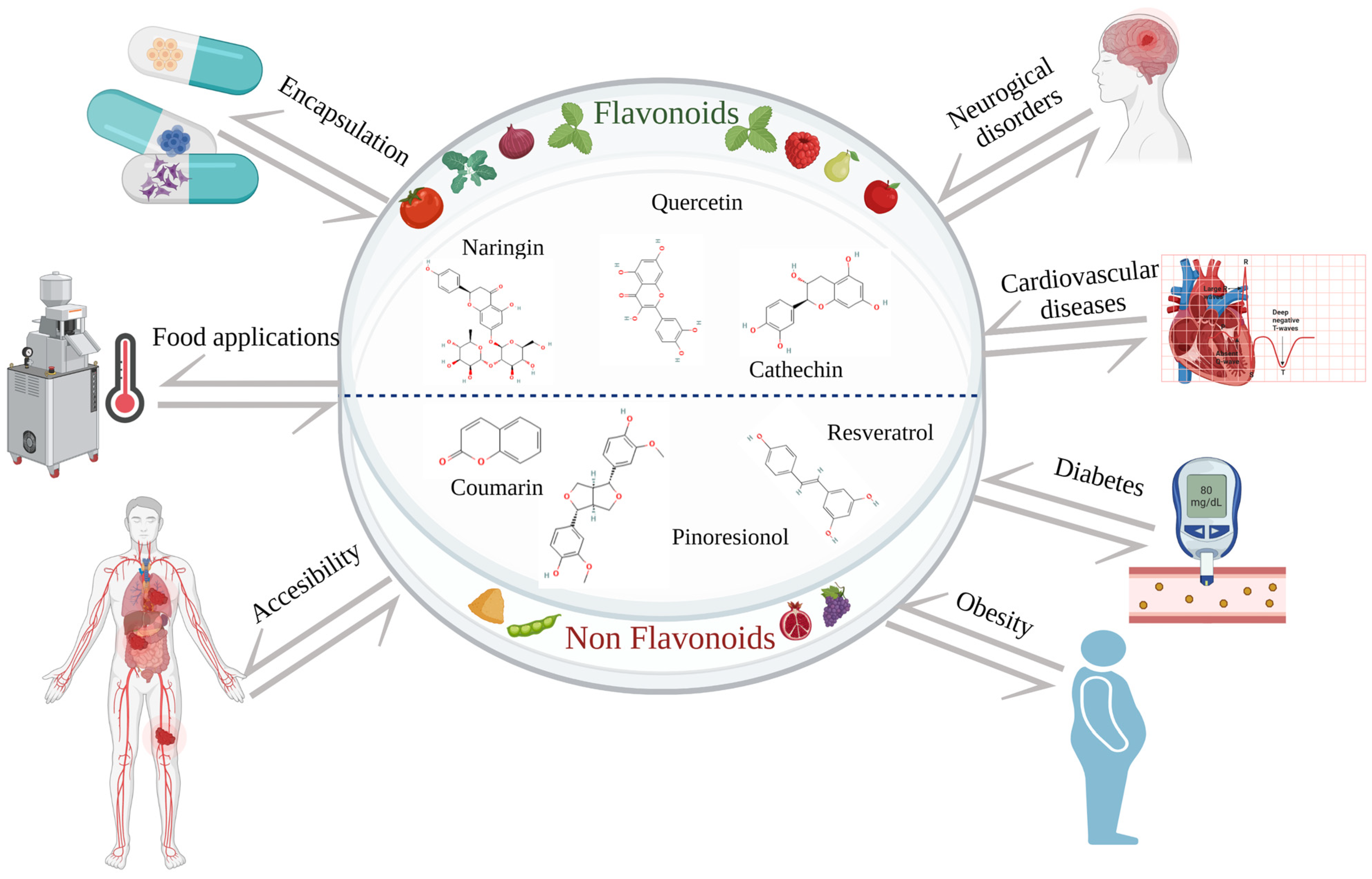 Antioxidants 12 00865 g002 Antioxidants 12 00865 g002