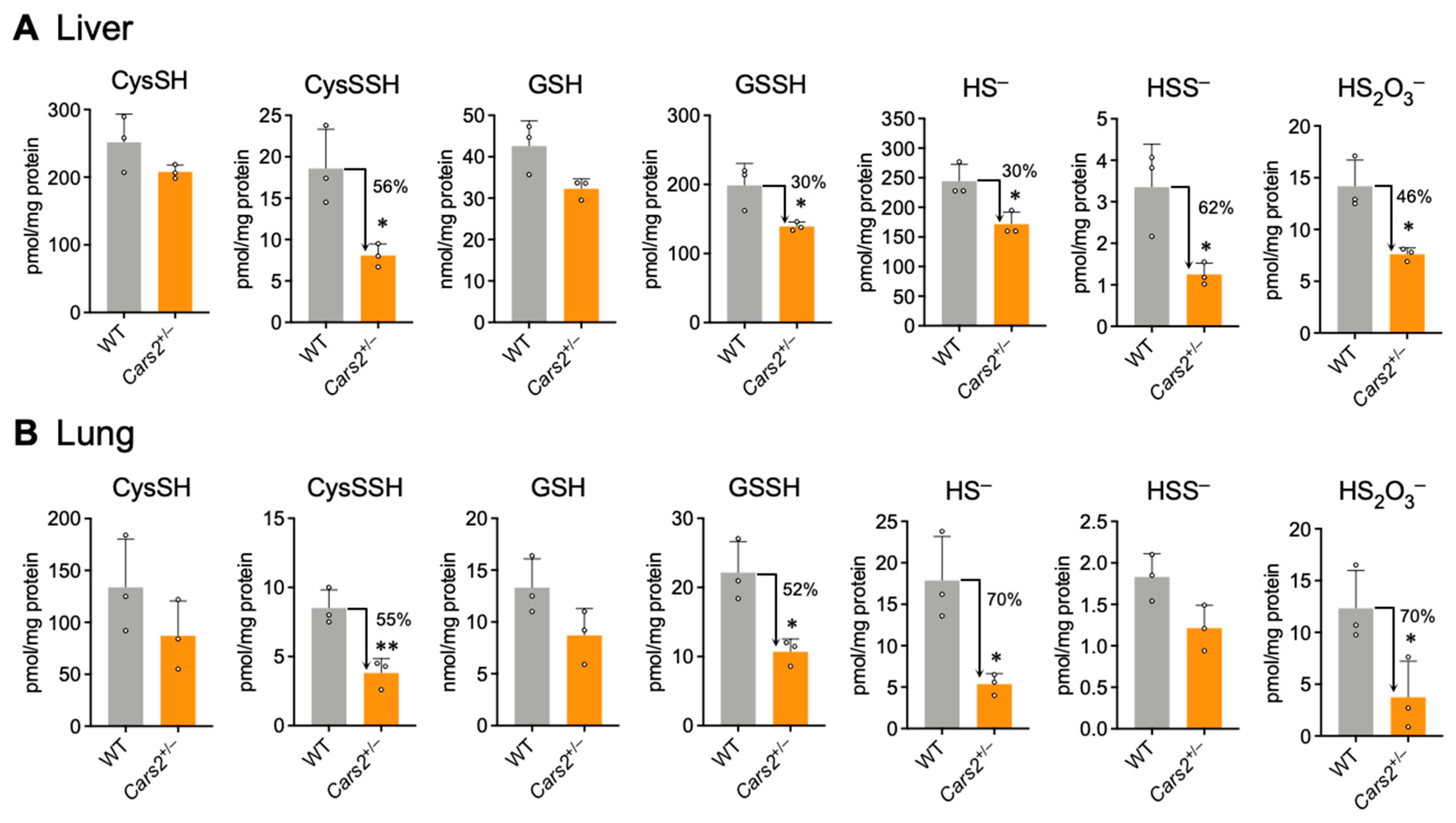 Antioxidants 12 00868 g004