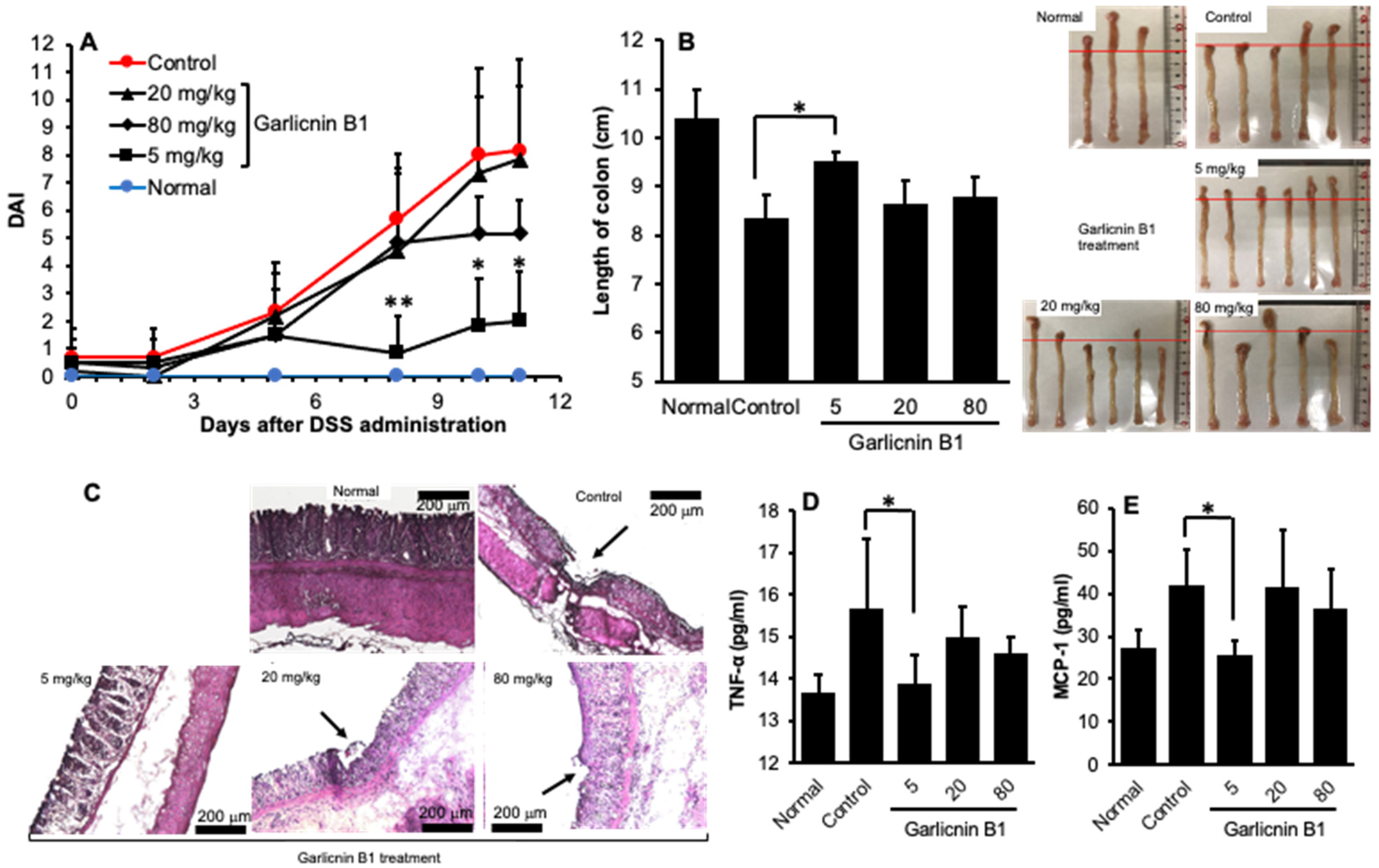 Antioxidants 12 00869 g003