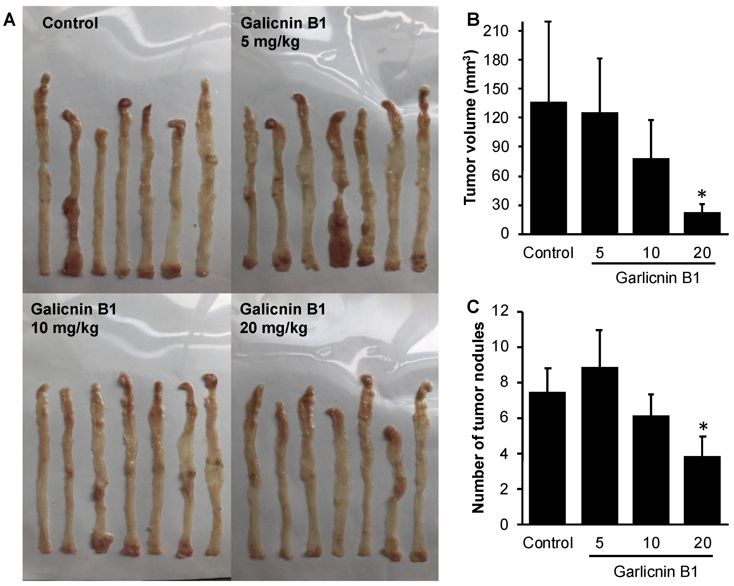 Antioxidants 12 00869 g005