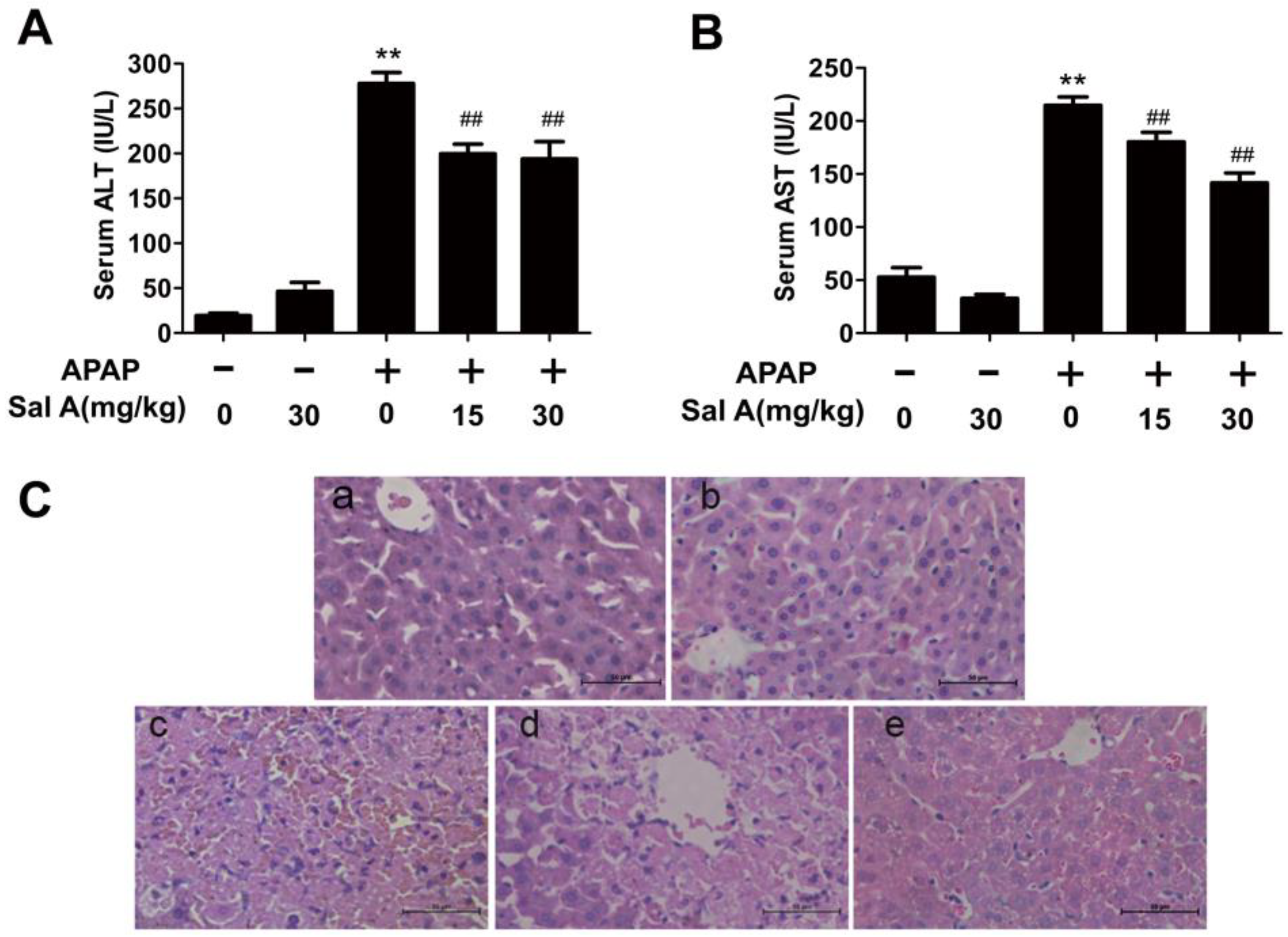 Antioxidants 12 00870 g001
