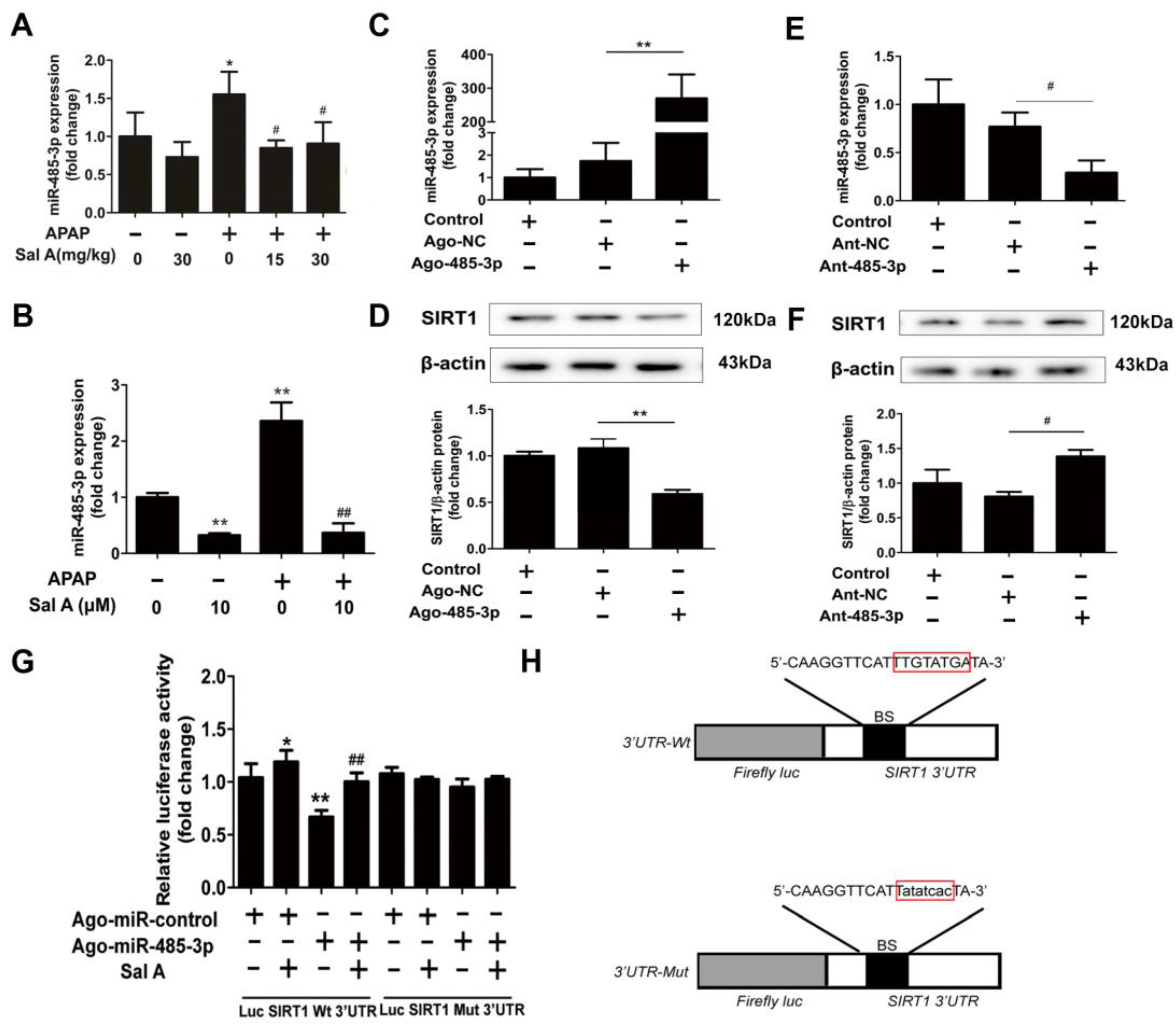 Antioxidants 12 00870 g005