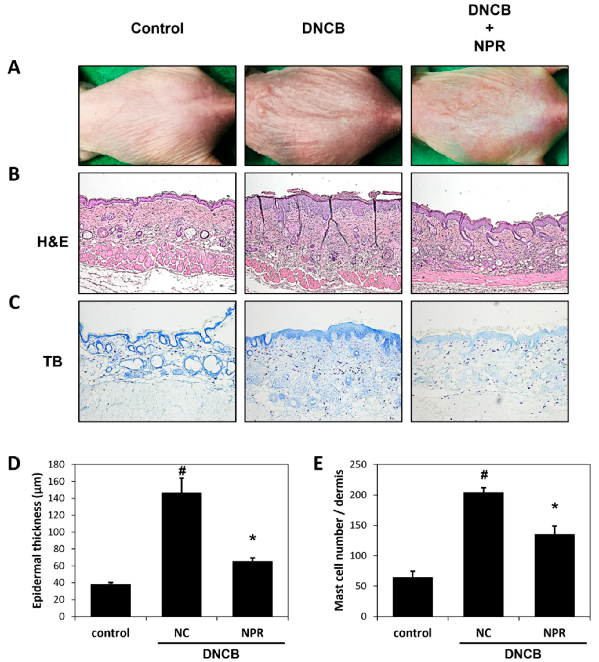 Antioxidants 12 00873 g003