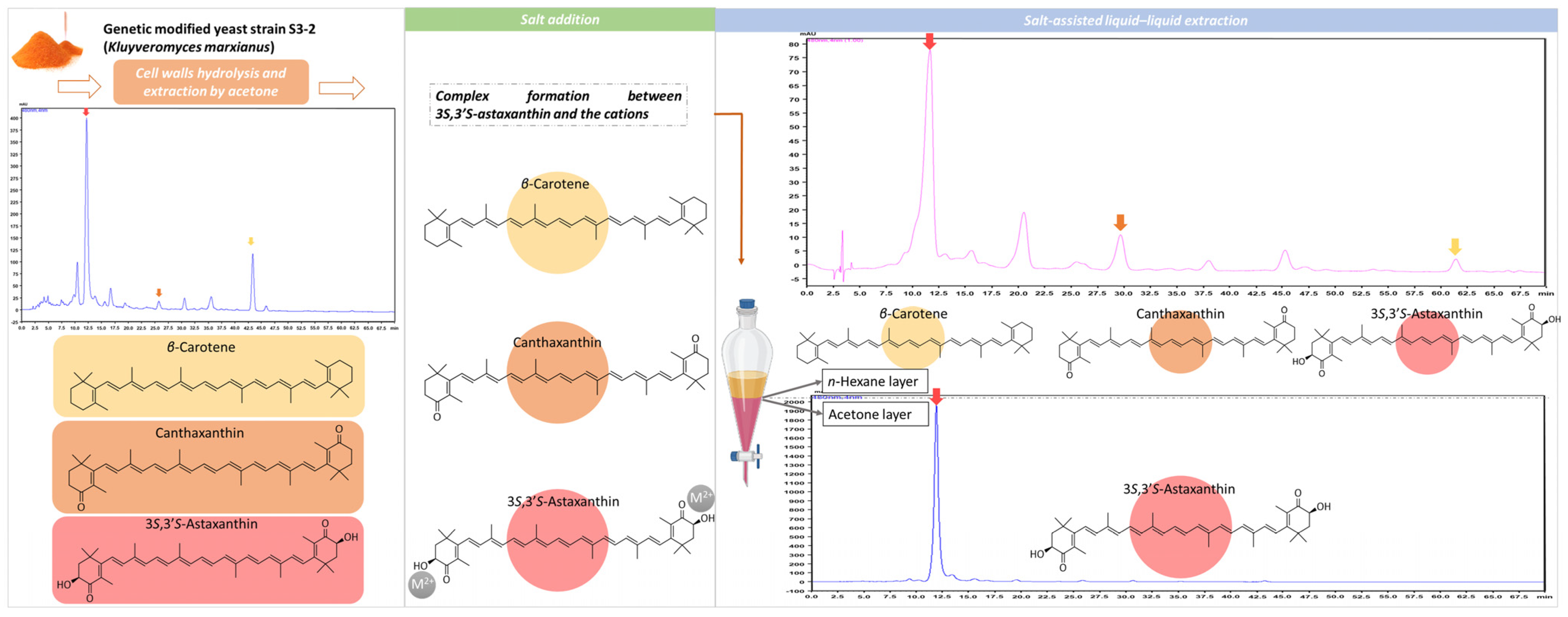 Antioxidants 12 00875 g002