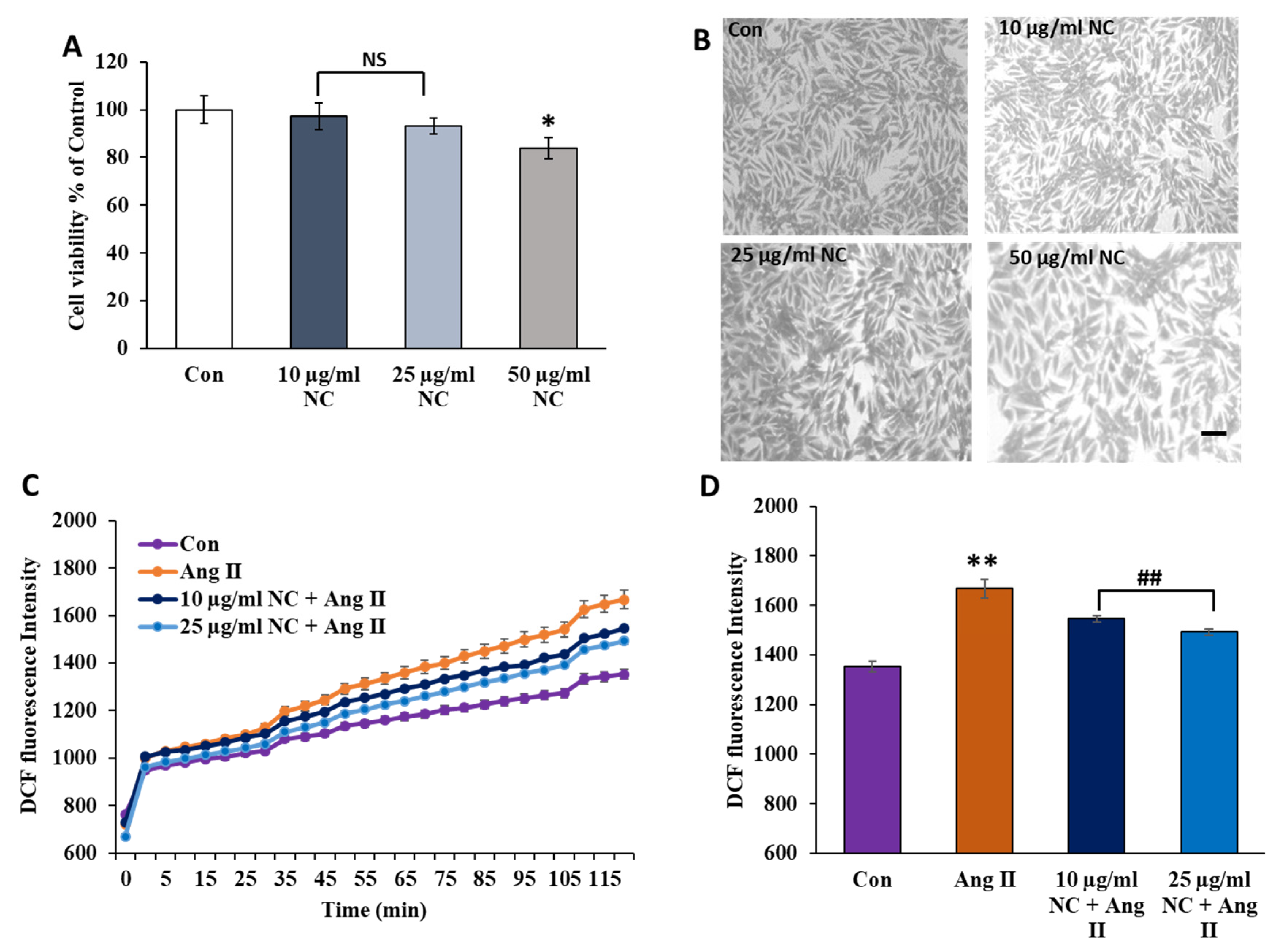 Antioxidants 12 00877 g003 Antioxidants 12 00877 g003