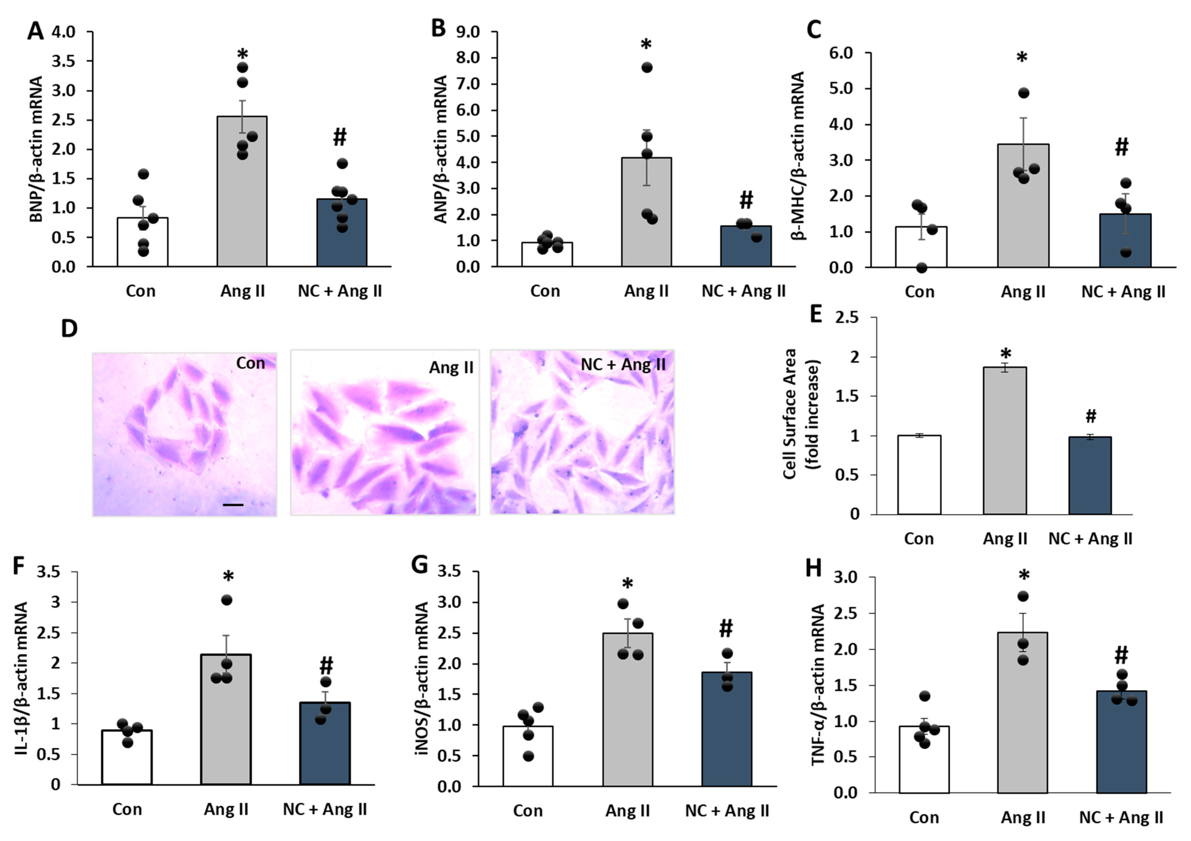 Antioxidants 12 00877 g005 Antioxidants 12 00877 g005