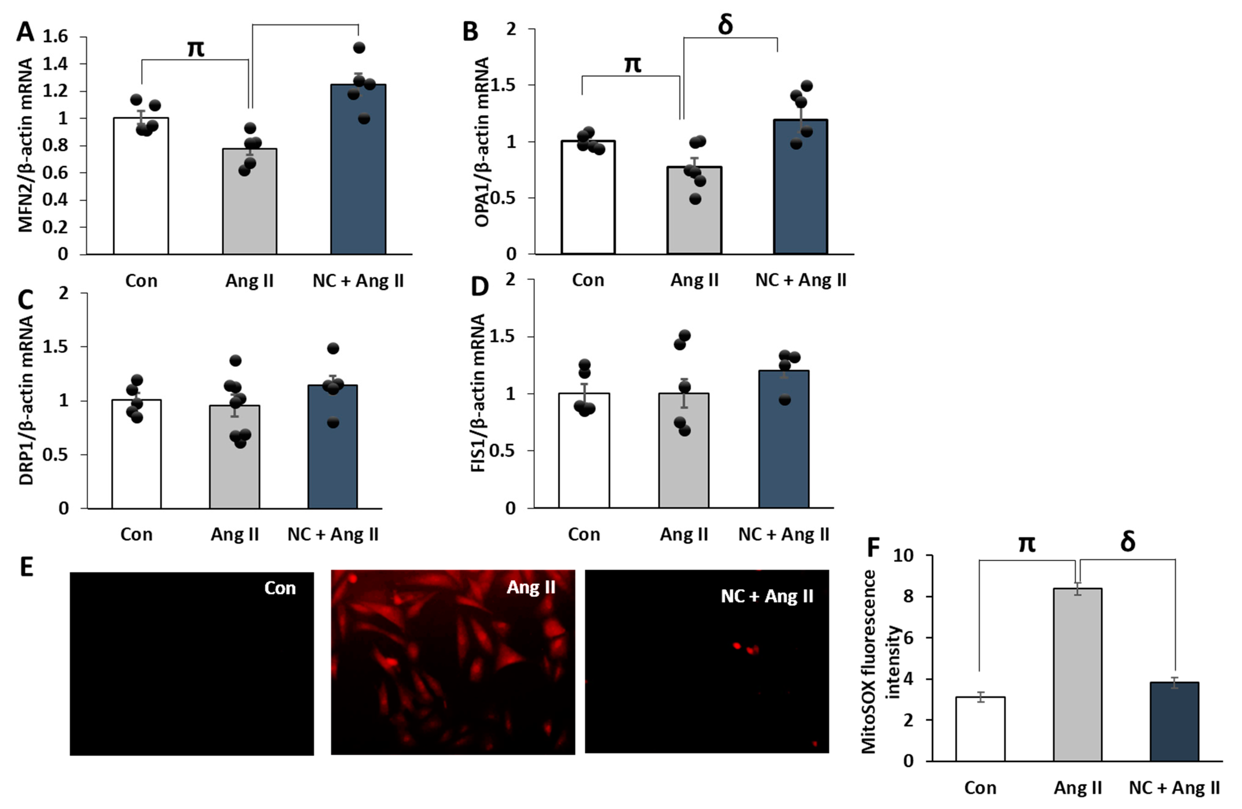 Antioxidants 12 00877 g008 Antioxidants 12 00877 g008