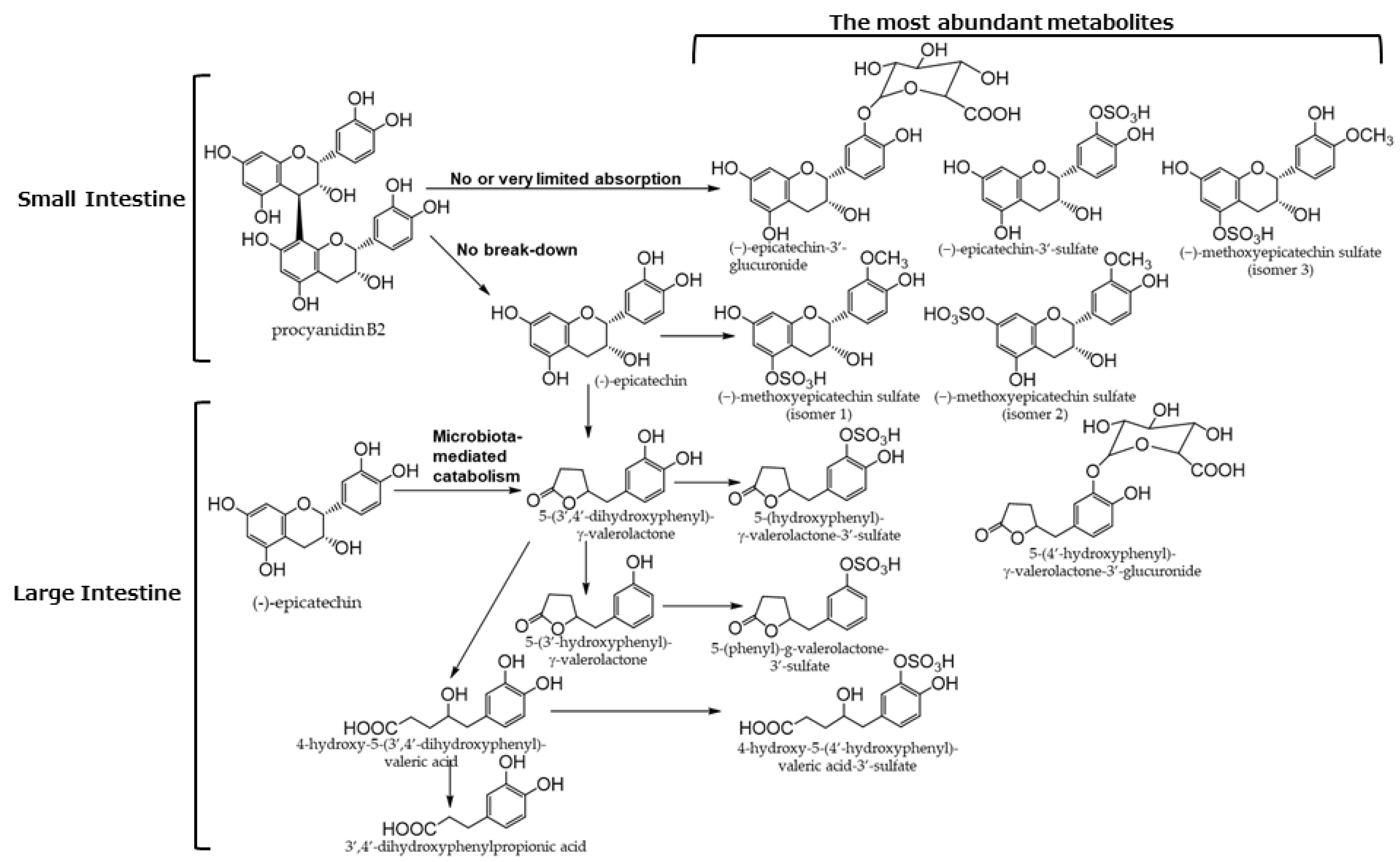 Antioxidants 12 00880 g005