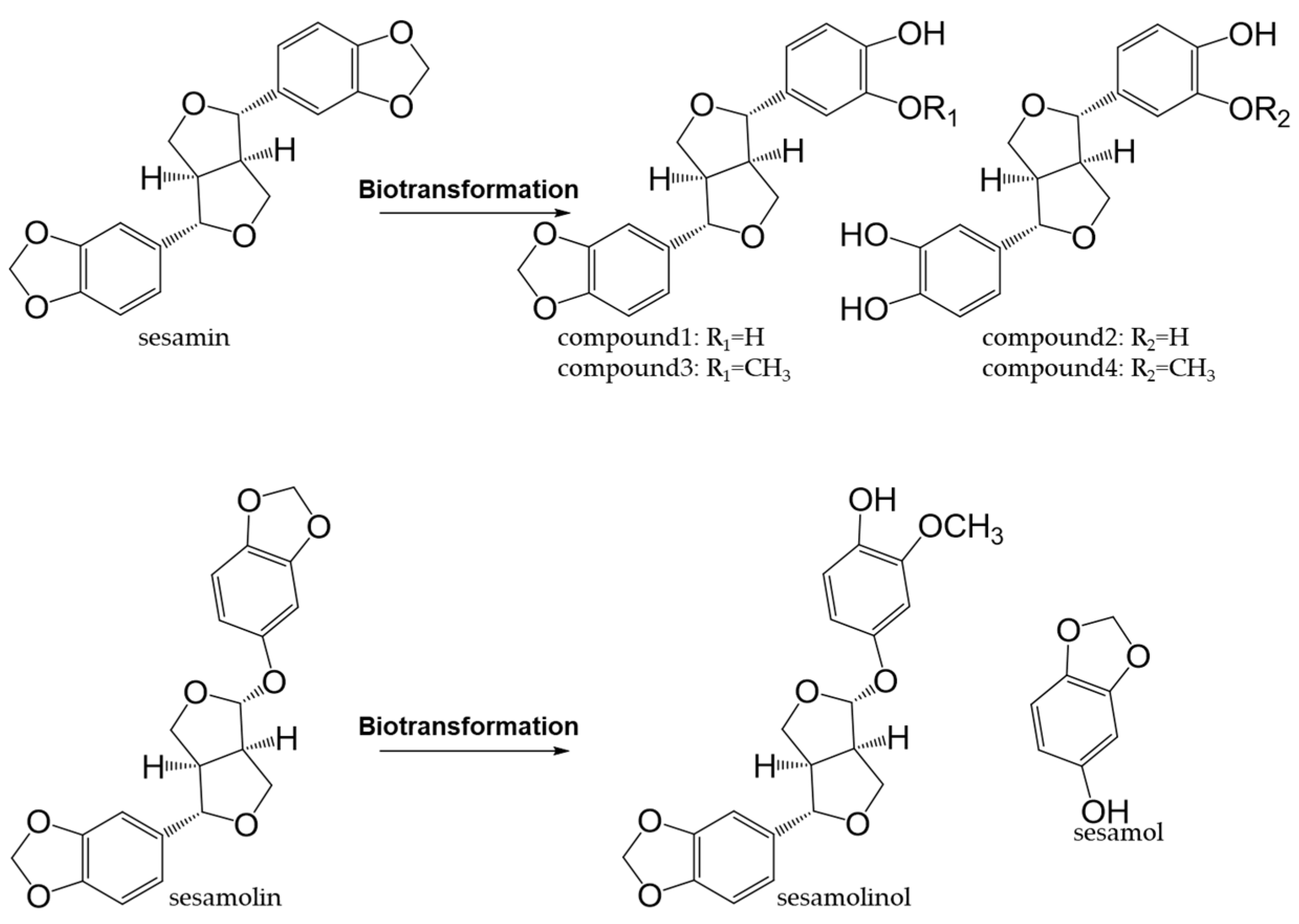 Antioxidants 12 00880 g012