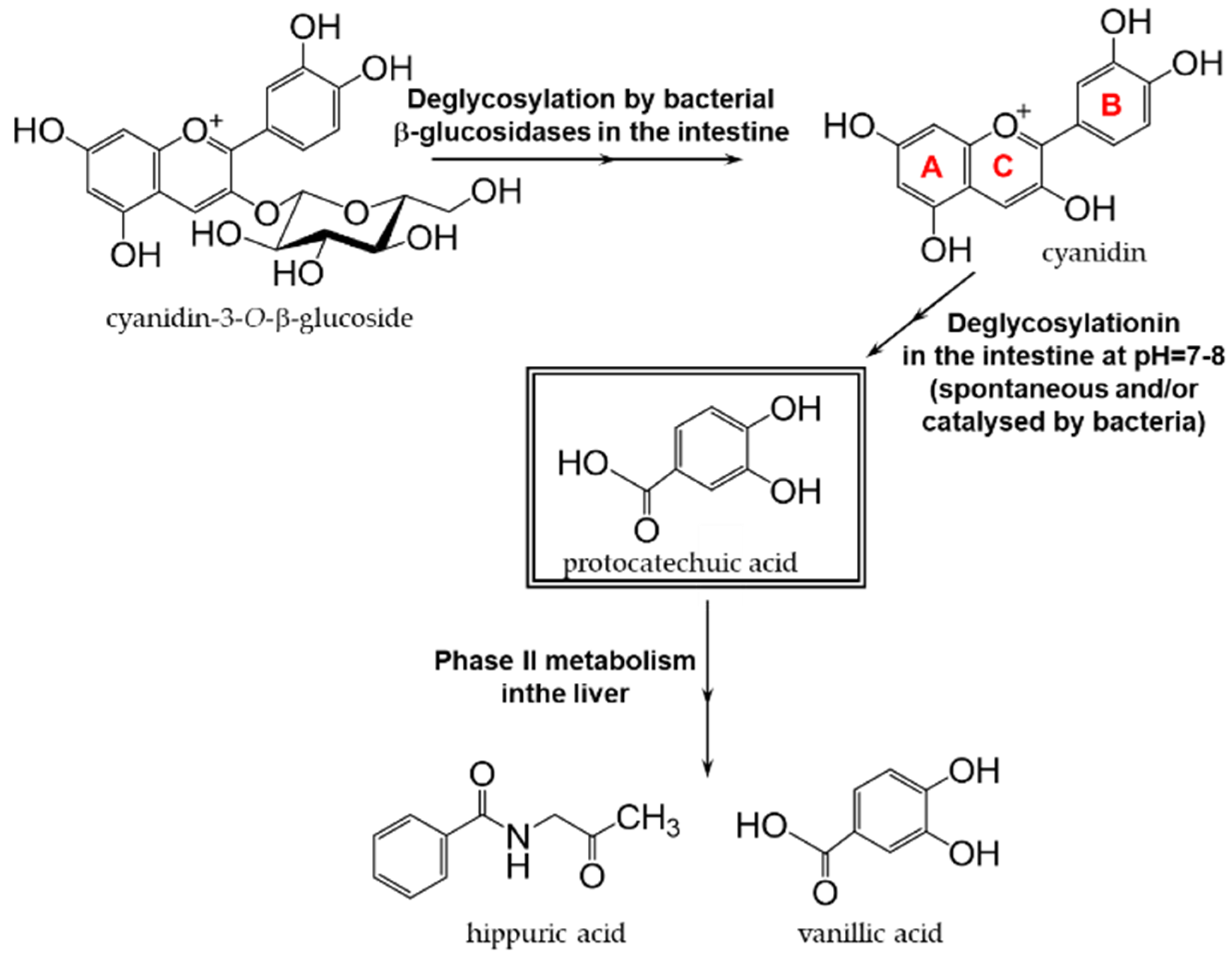 Antioxidants 12 00880 g017