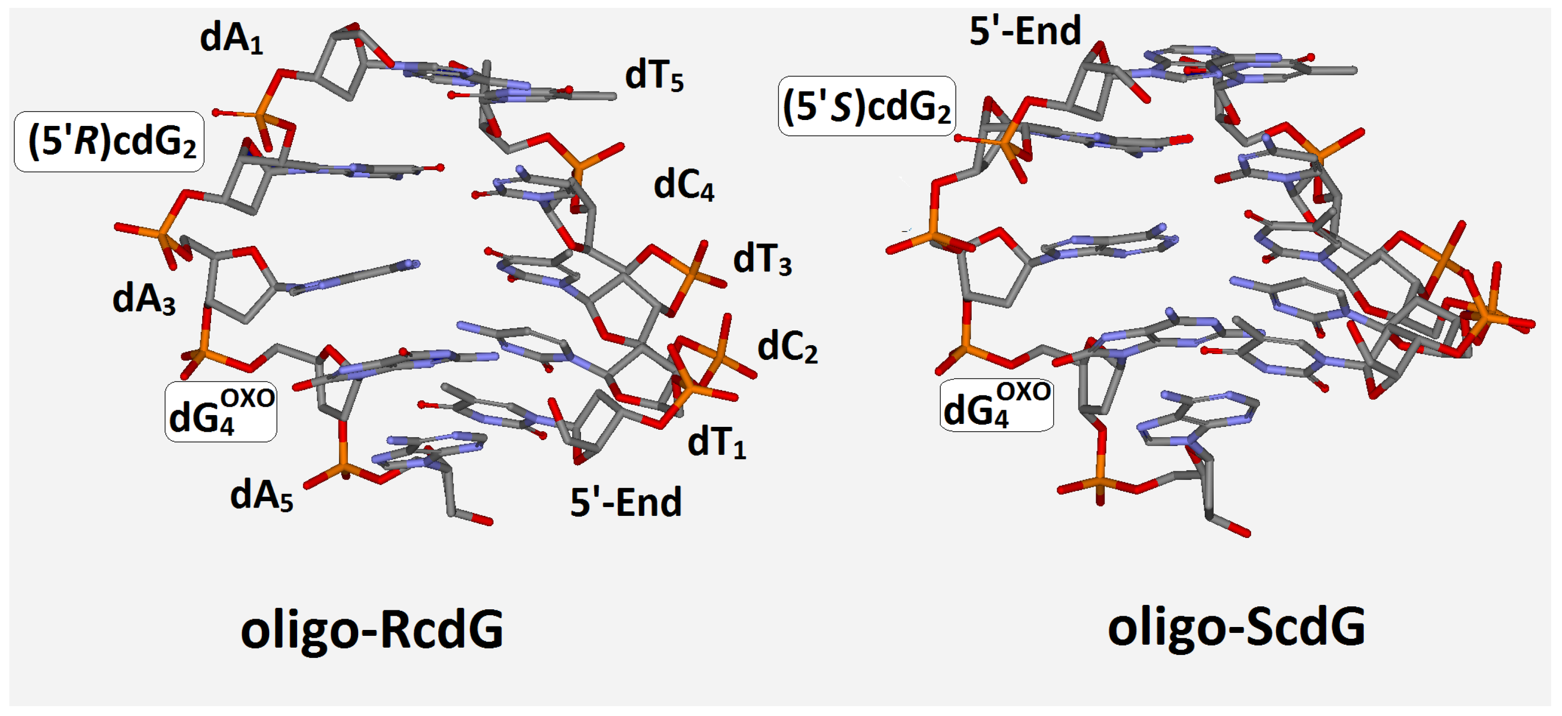 Antioxidants 12 00881 g002