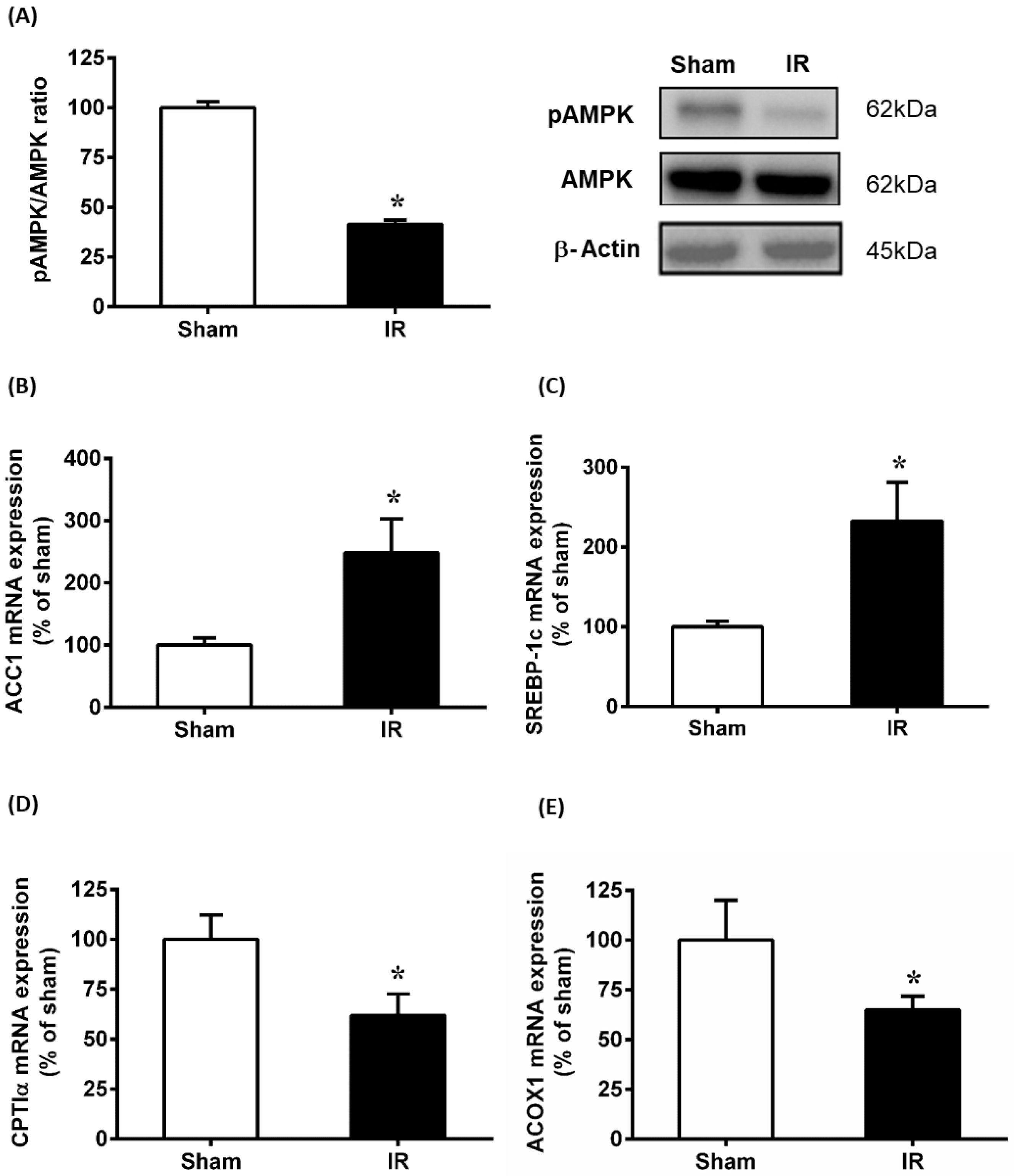Antioxidants 12 00883 g003