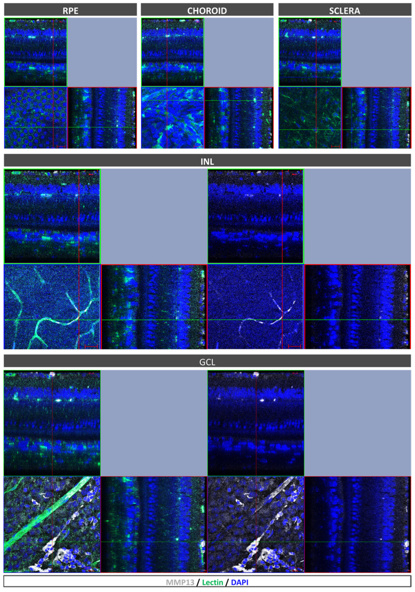 Antioxidants 12 00884 g003