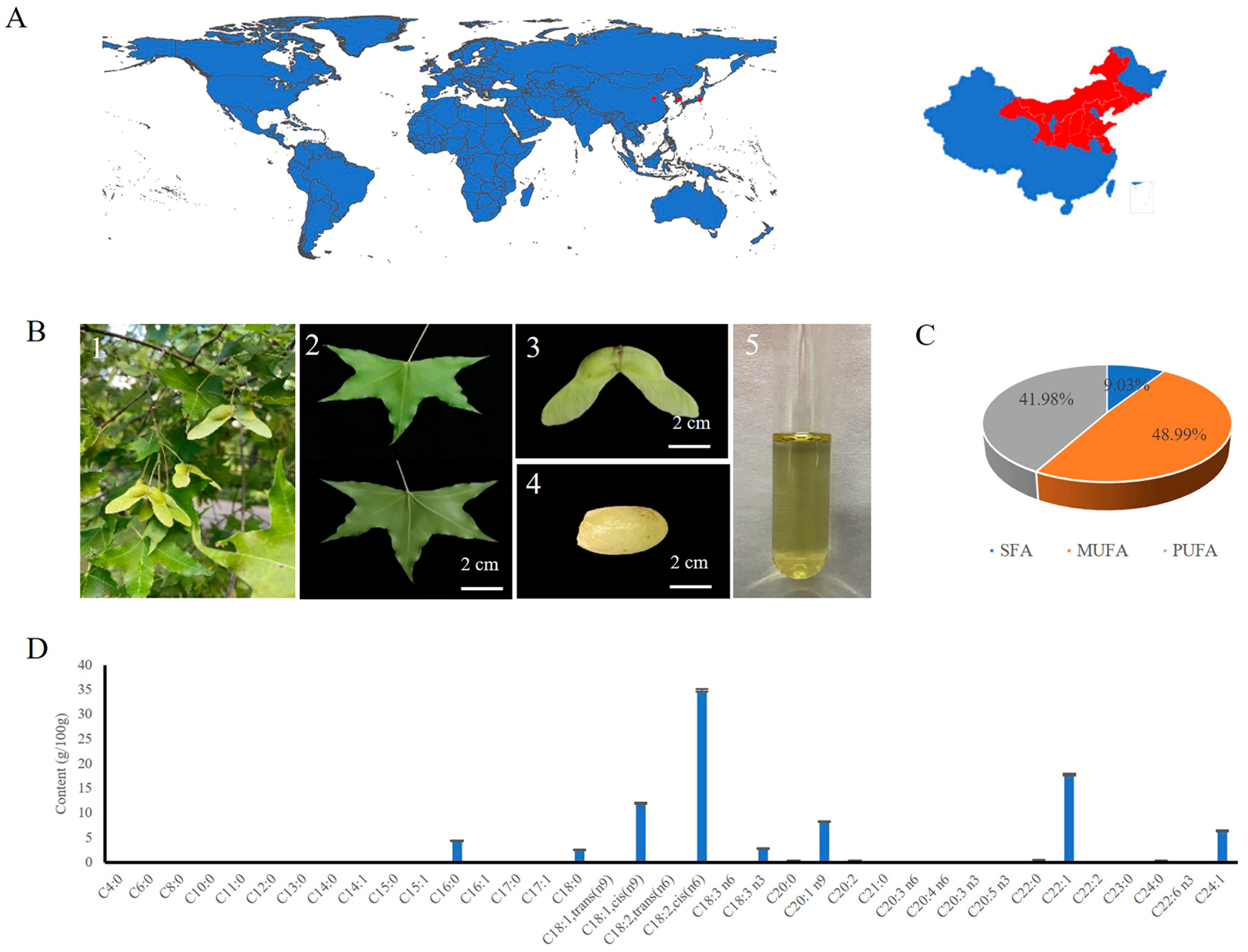 Antioxidants 12 00889 g001