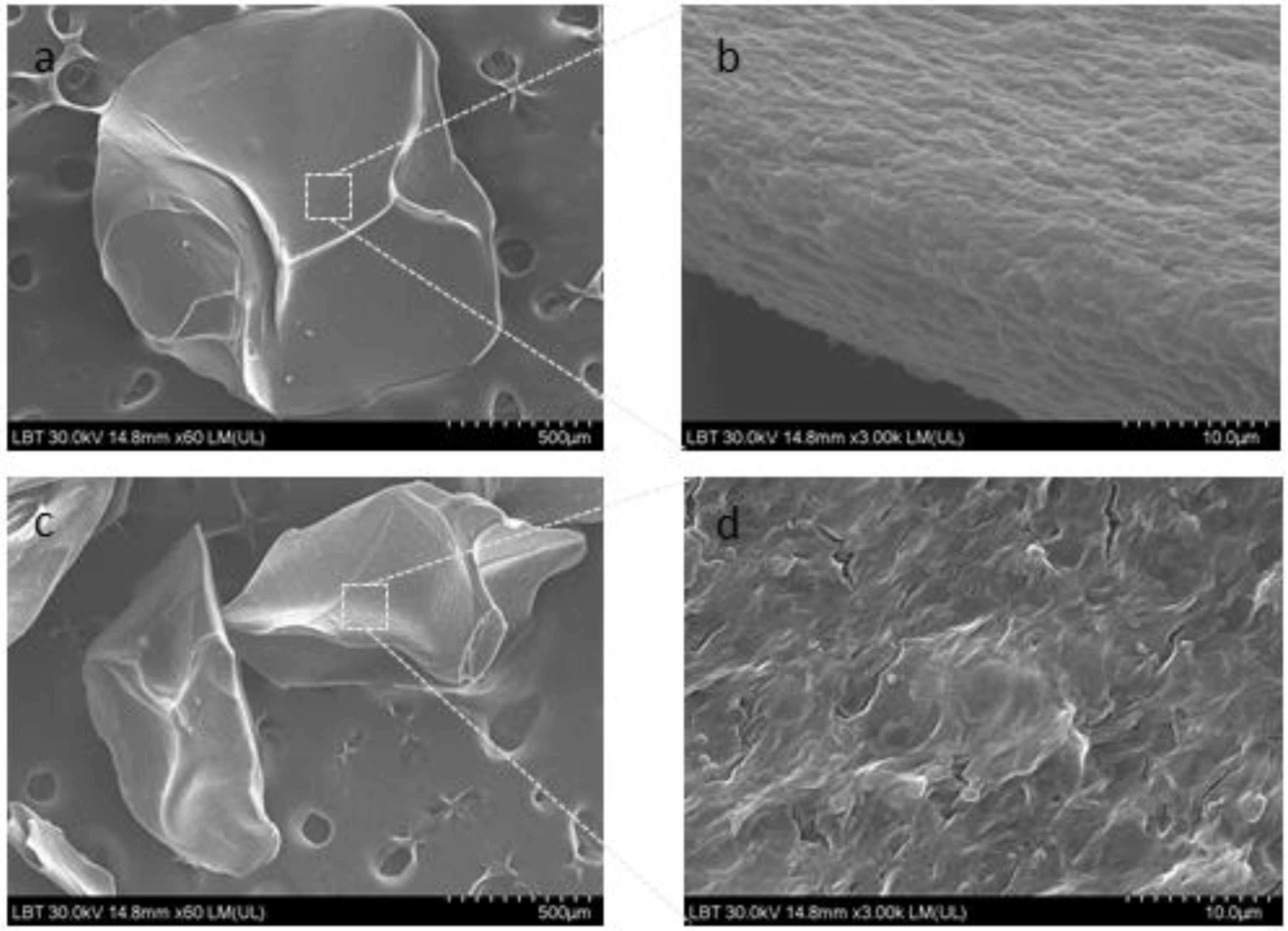 Antioxidants 12 00893 g001