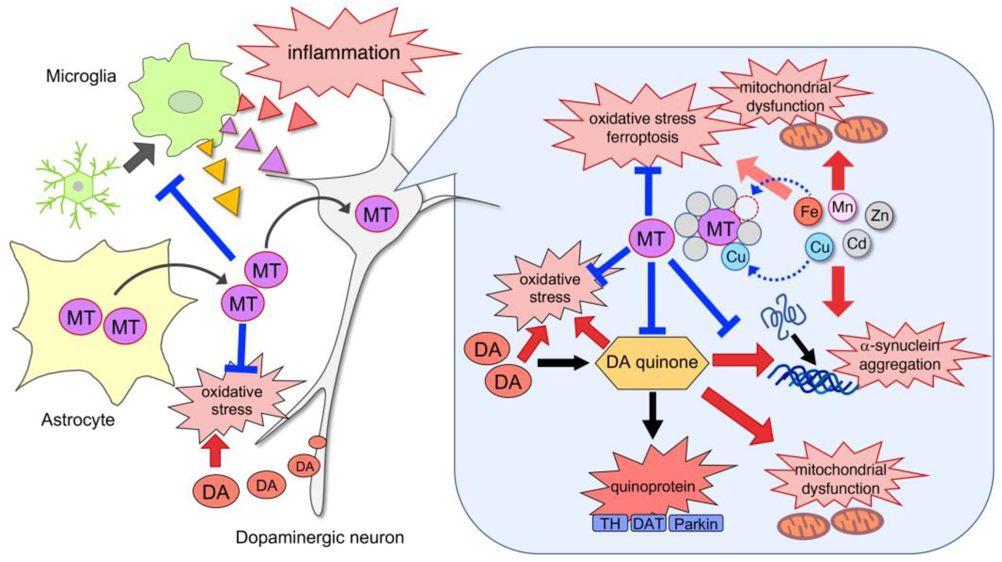 Antioxidants 12 00894 g002