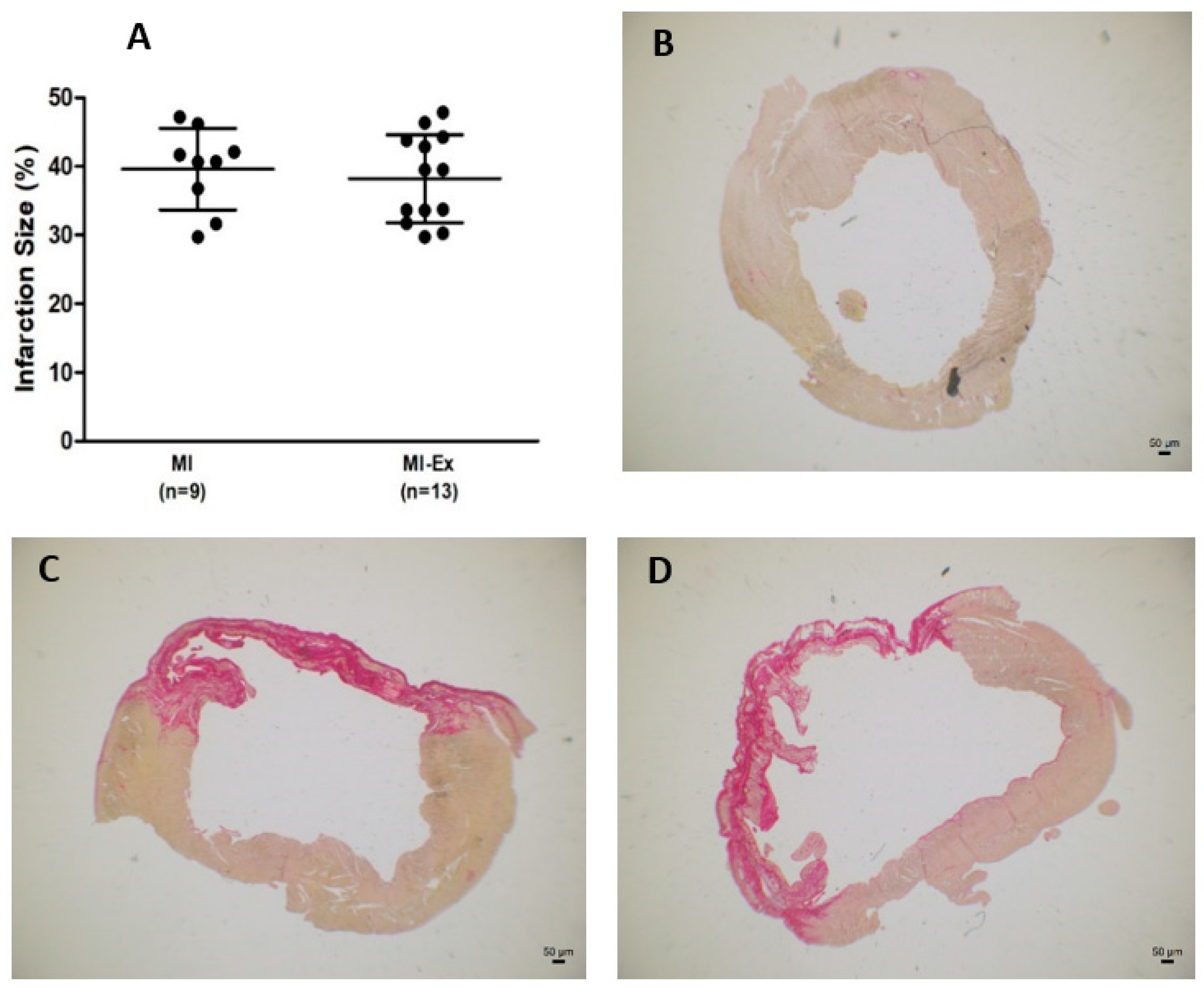 Antioxidants 12 00896 g001
