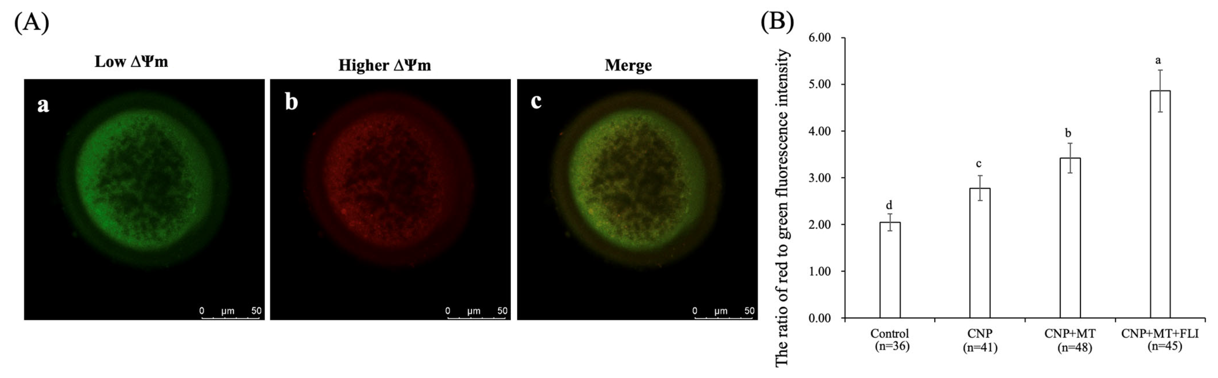 Antioxidants 12 00897 g004