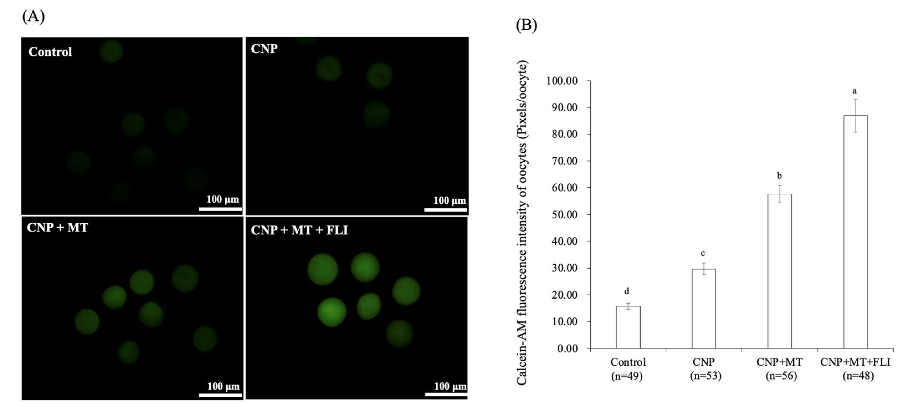 Antioxidants 12 00897 g005