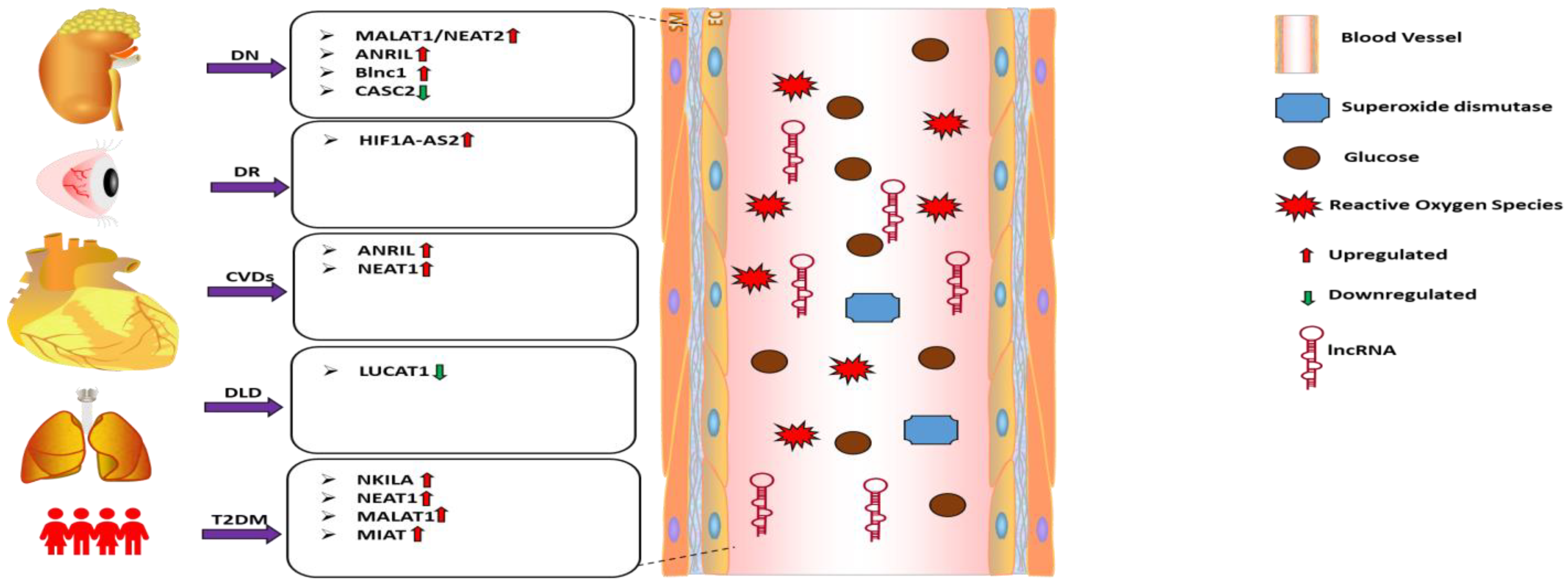 Antioxidants 12 00898 g001 Antioxidants 12 00898 g001
