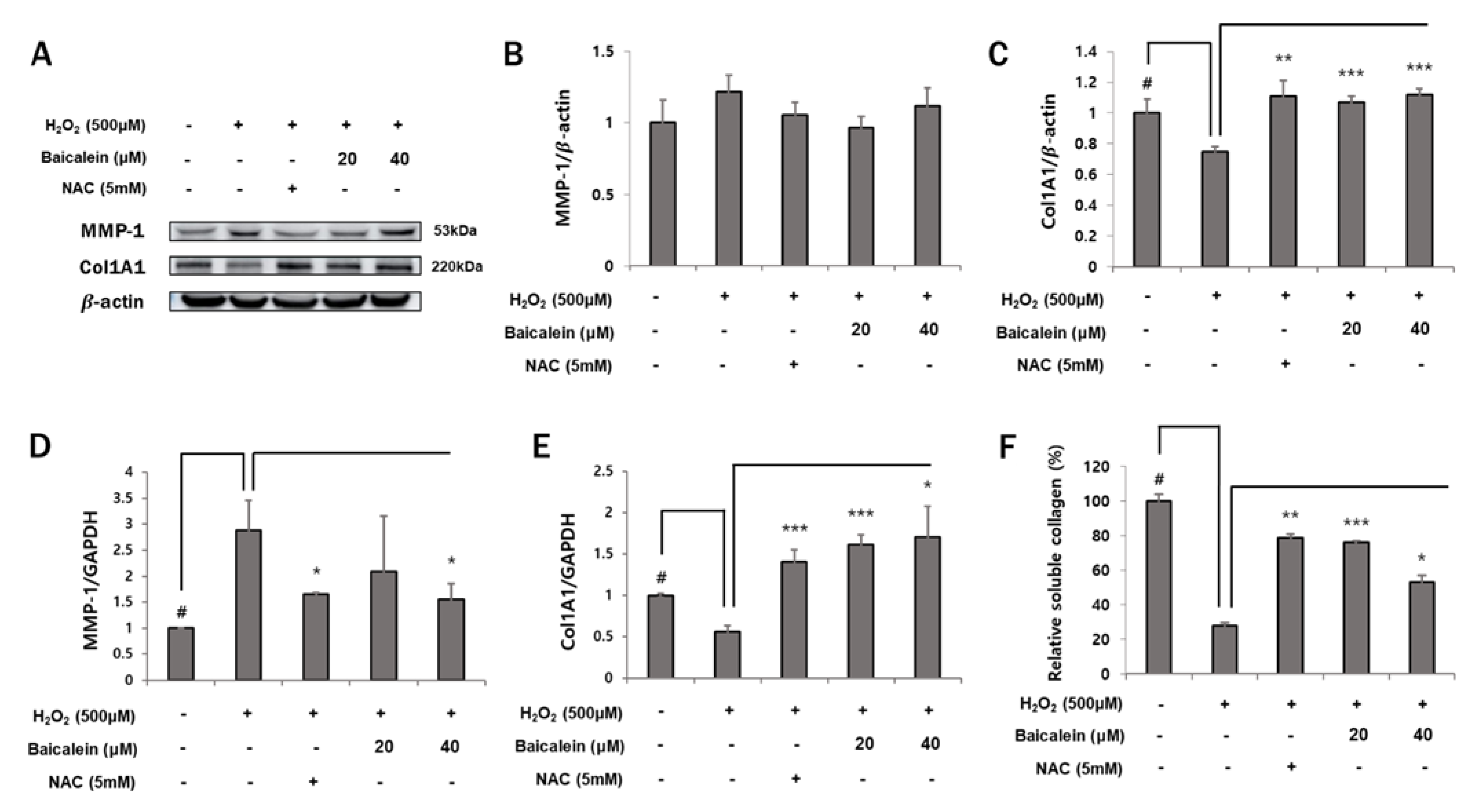 Antioxidants 12 00902 g002