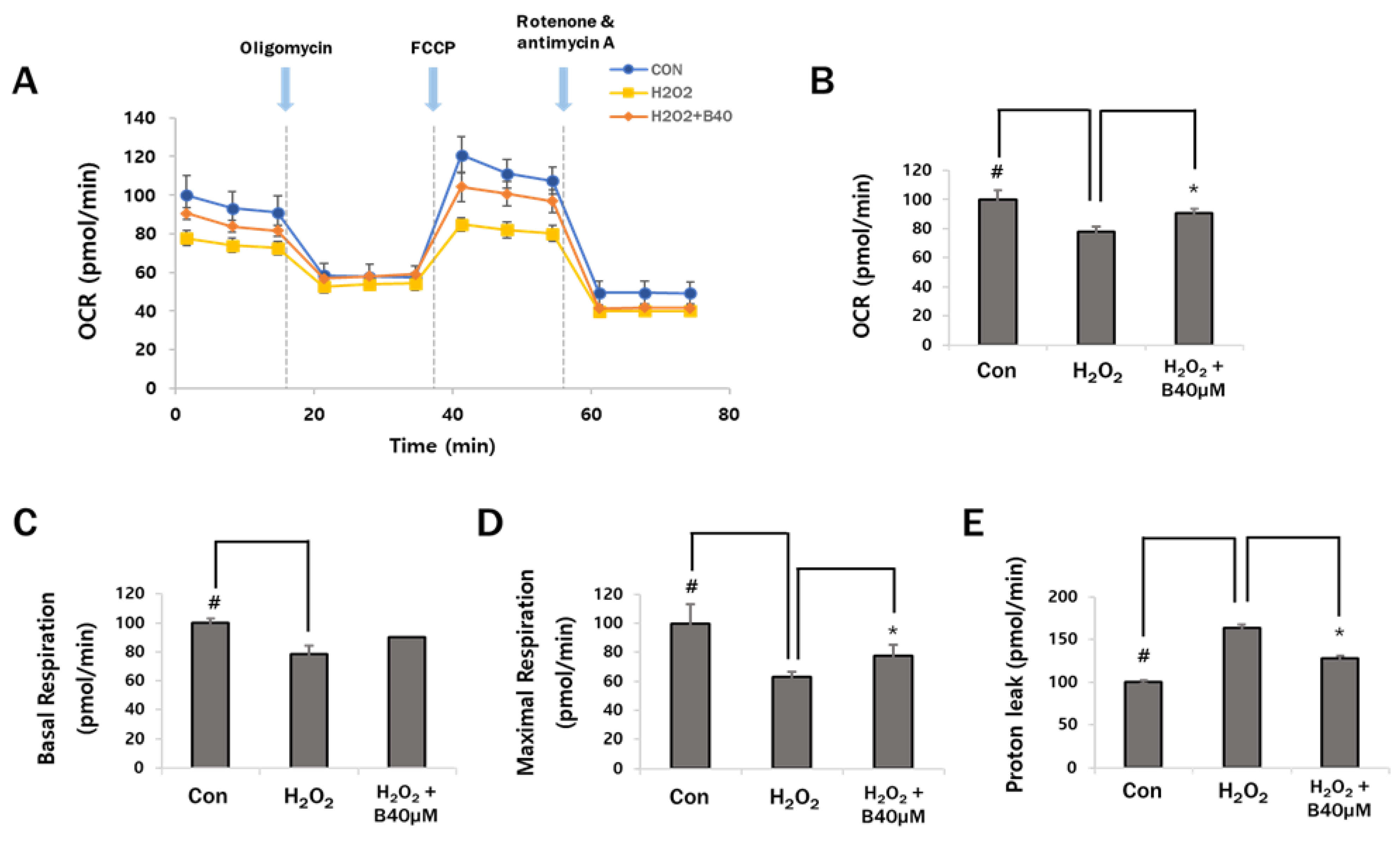 Antioxidants 12 00902 g005