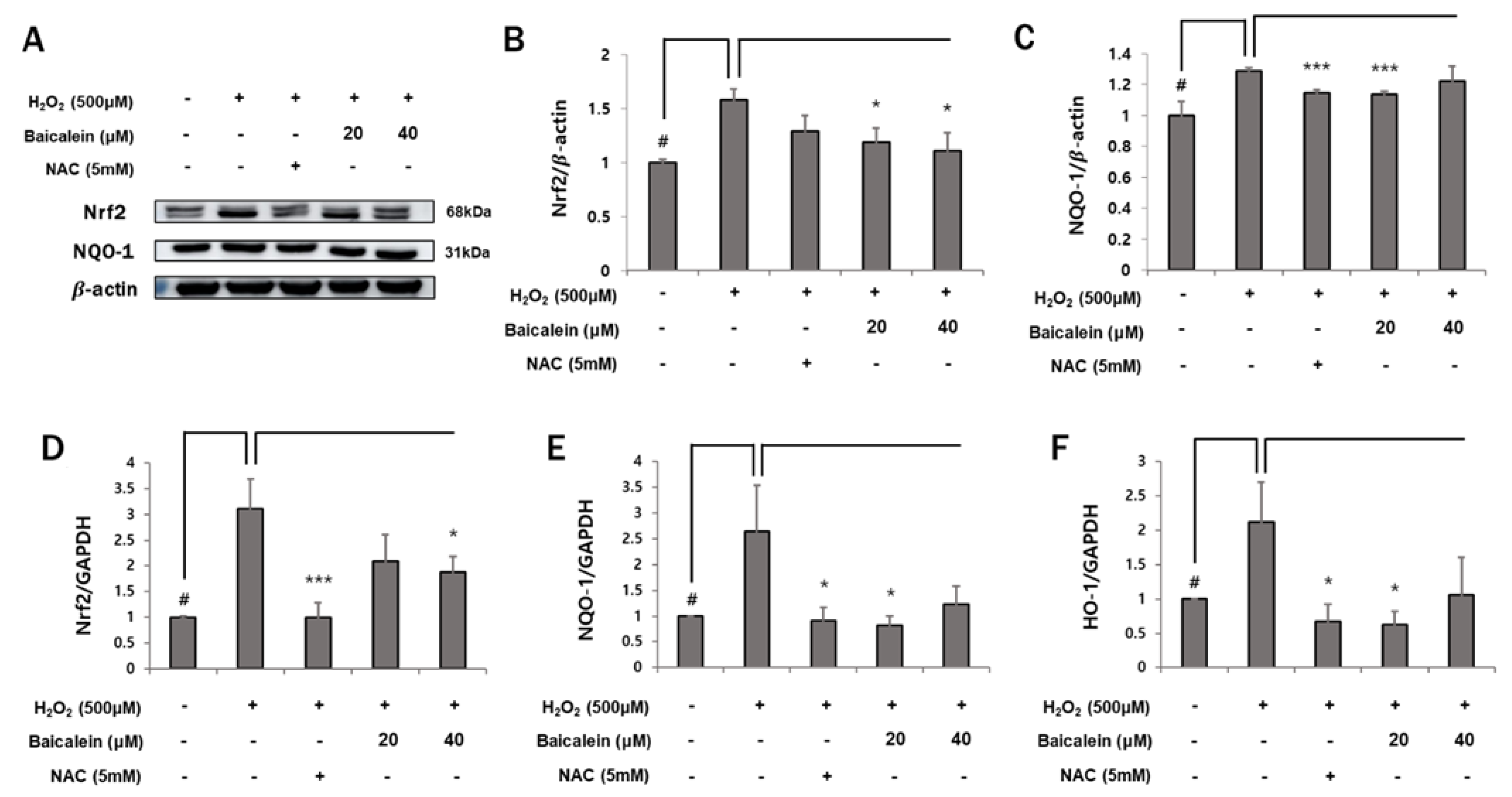 Antioxidants 12 00902 g006