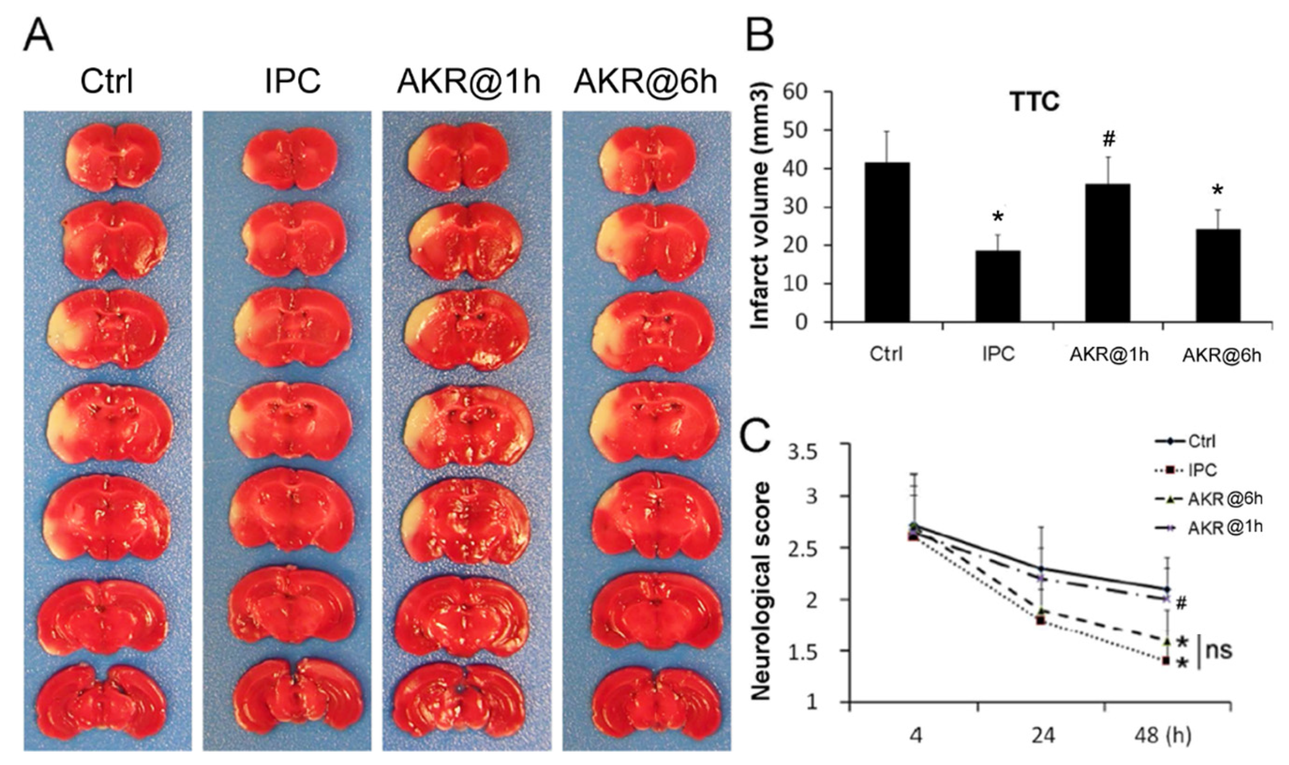 Antioxidants 12 00909 g003