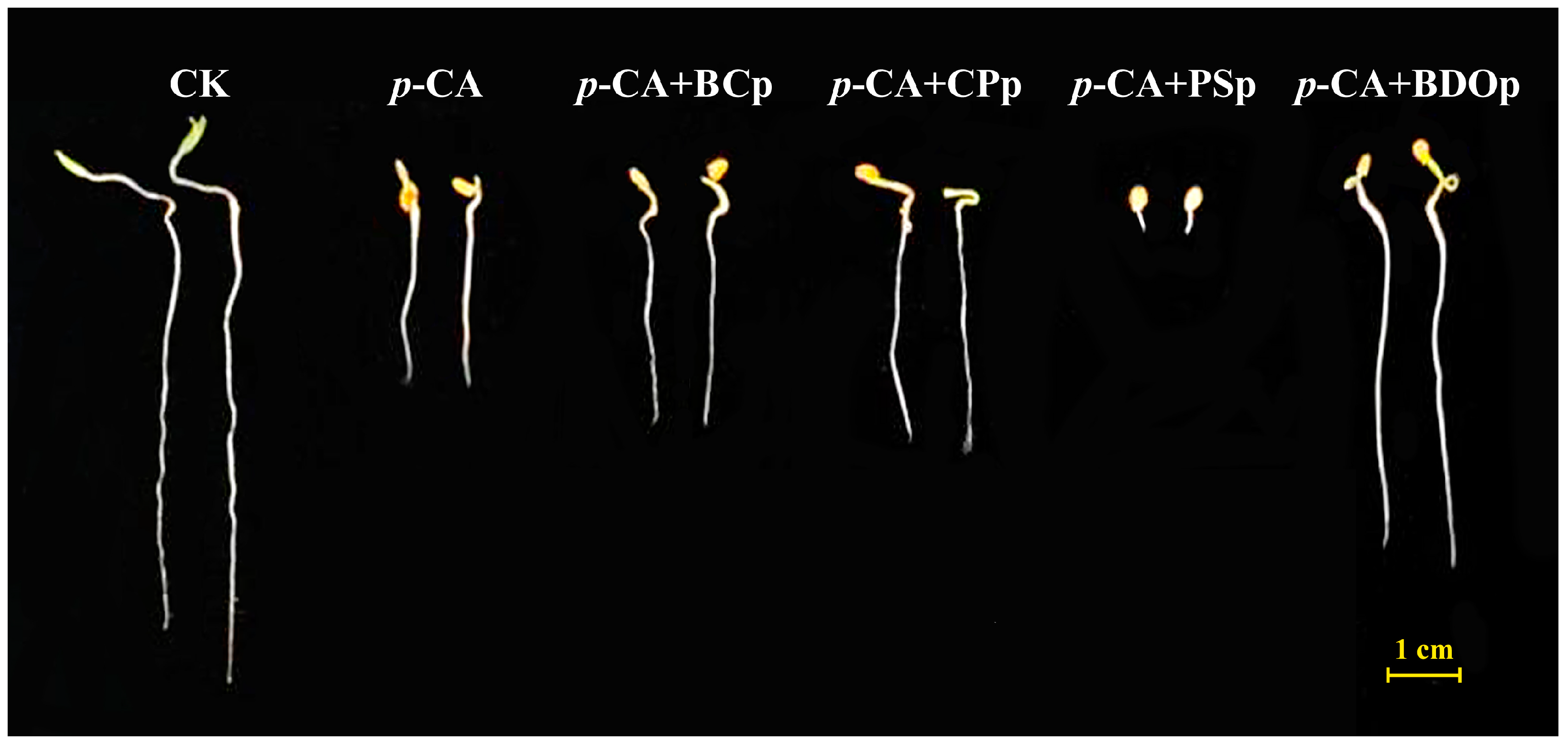 Antioxidants 12 00910 g001
