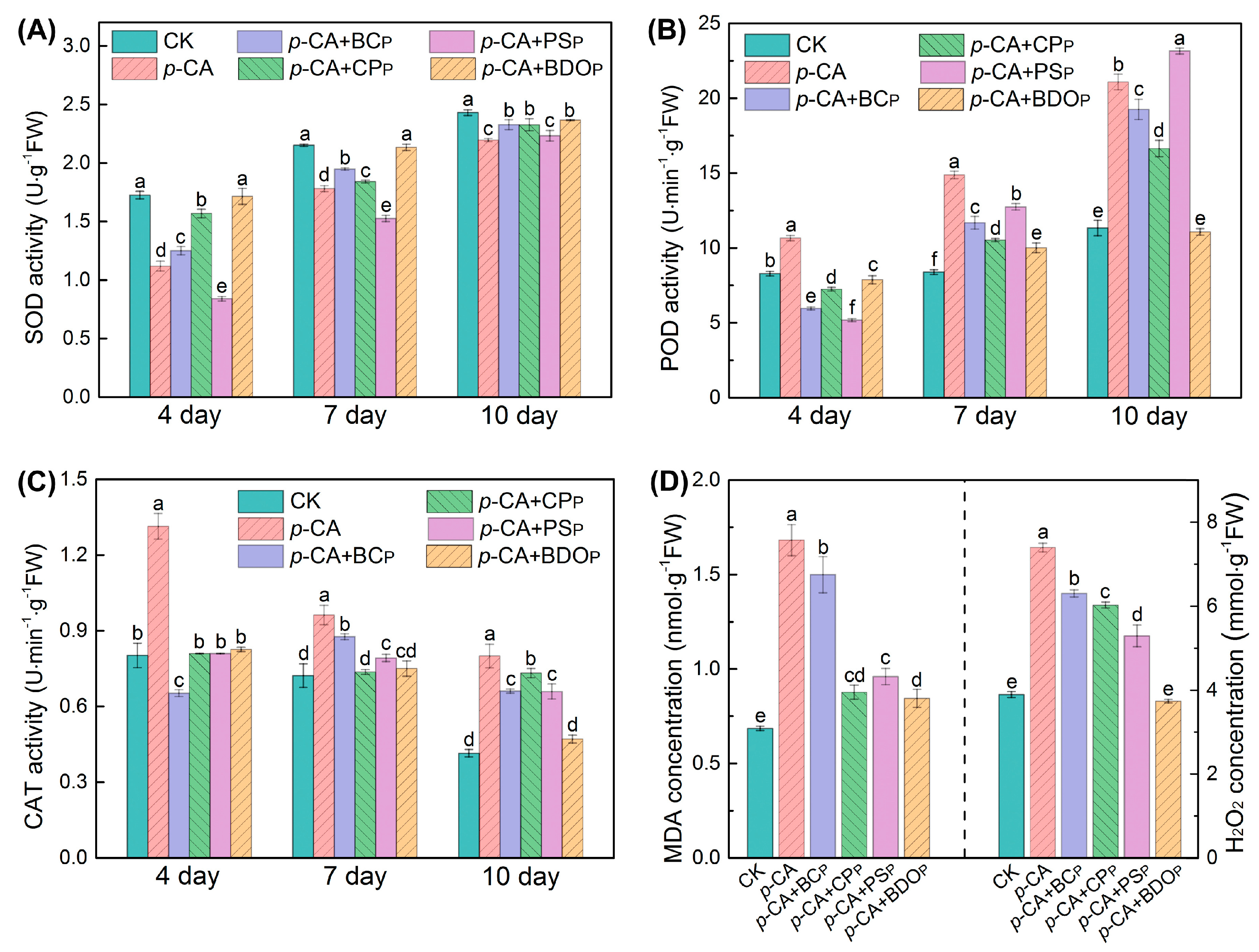 Antioxidants 12 00910 g003