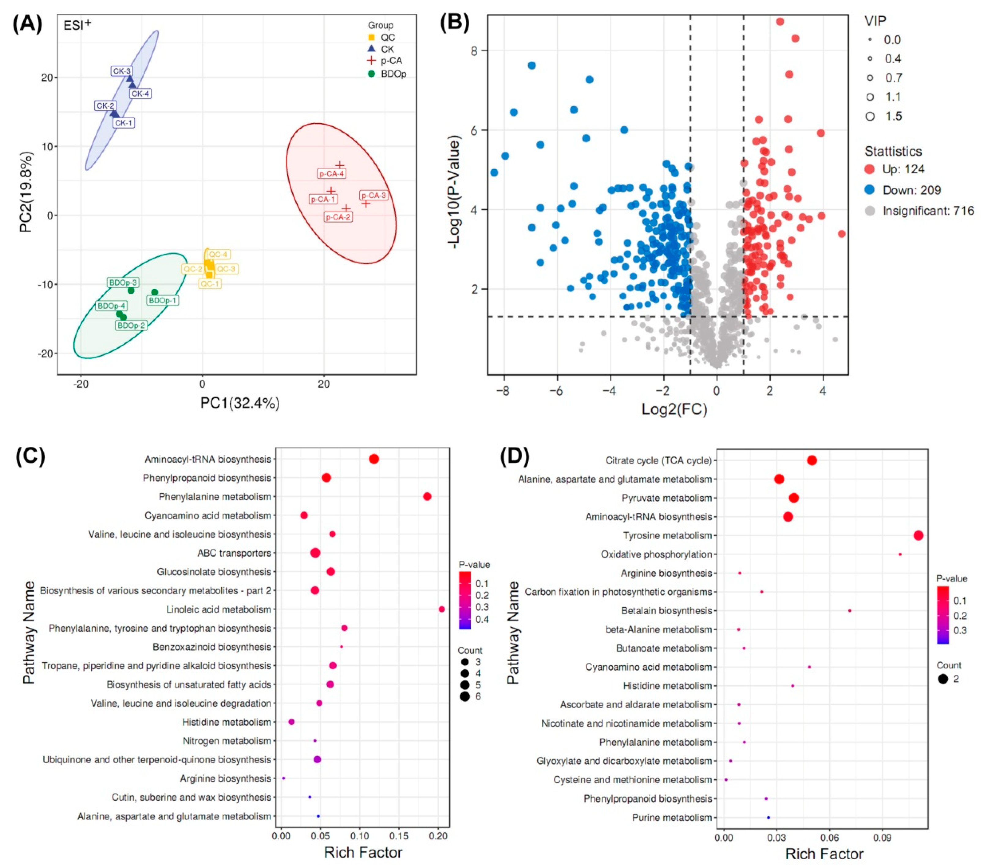 Antioxidants 12 00910 g004