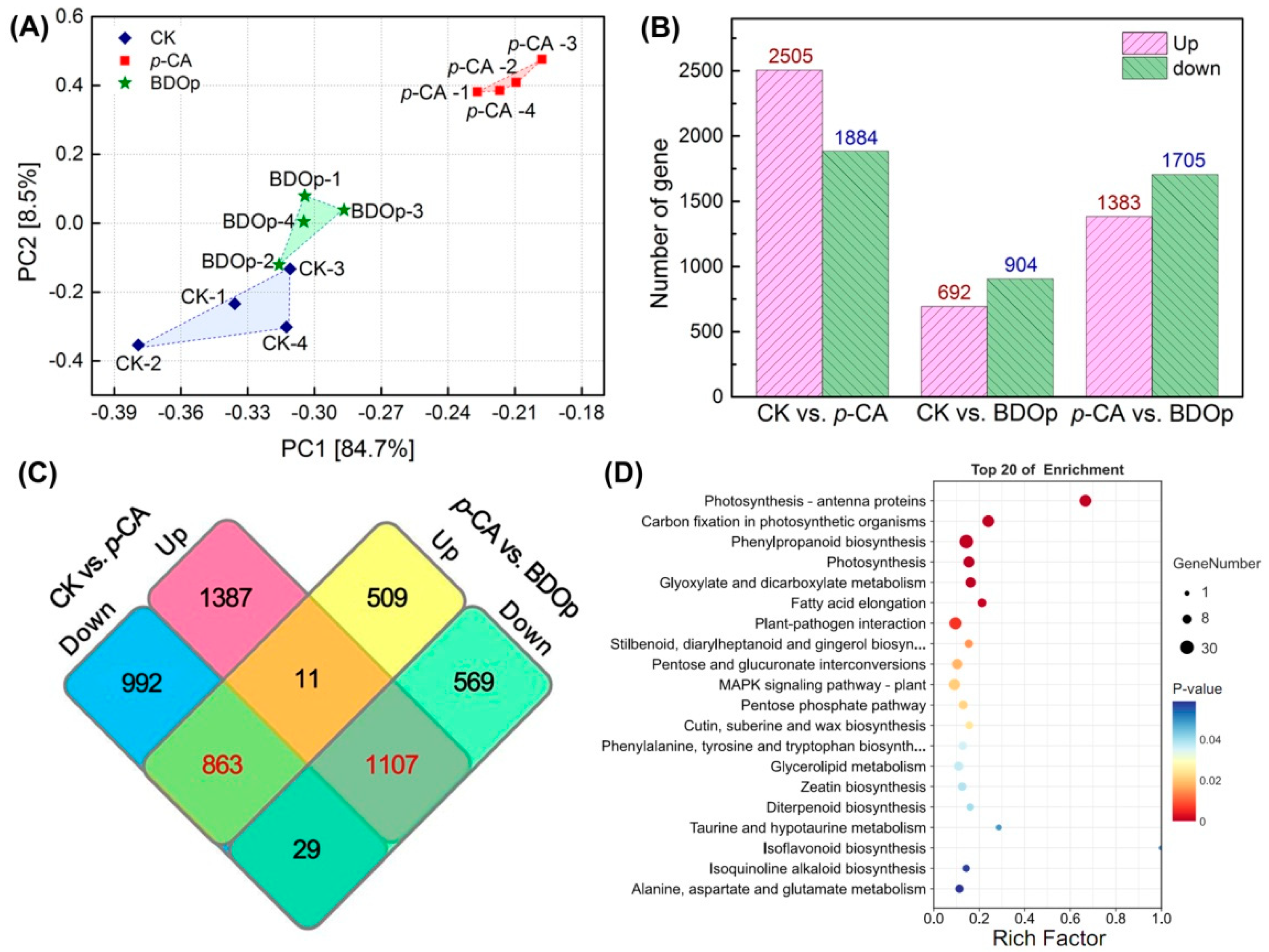 Antioxidants 12 00910 g005