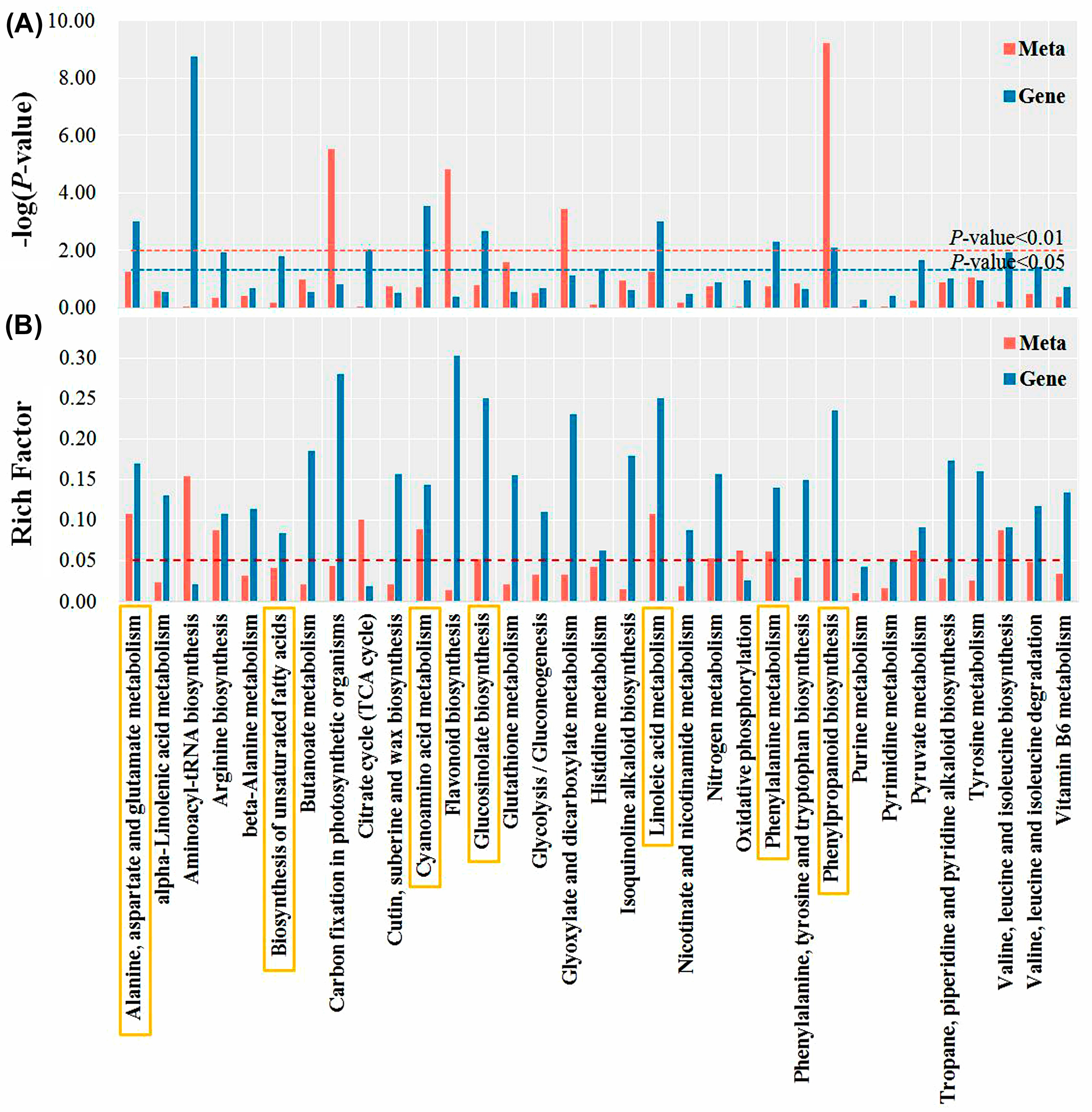 Antioxidants 12 00910 g006