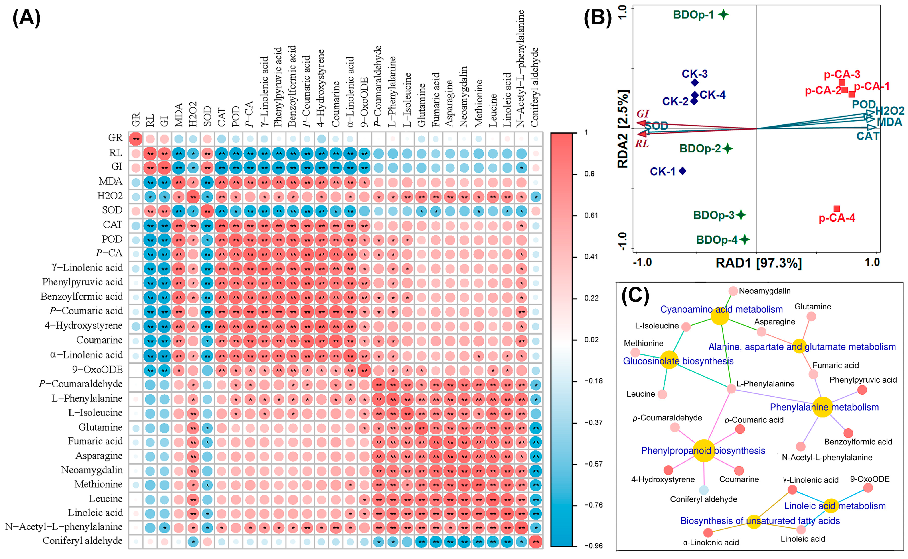 Antioxidants 12 00910 g007
