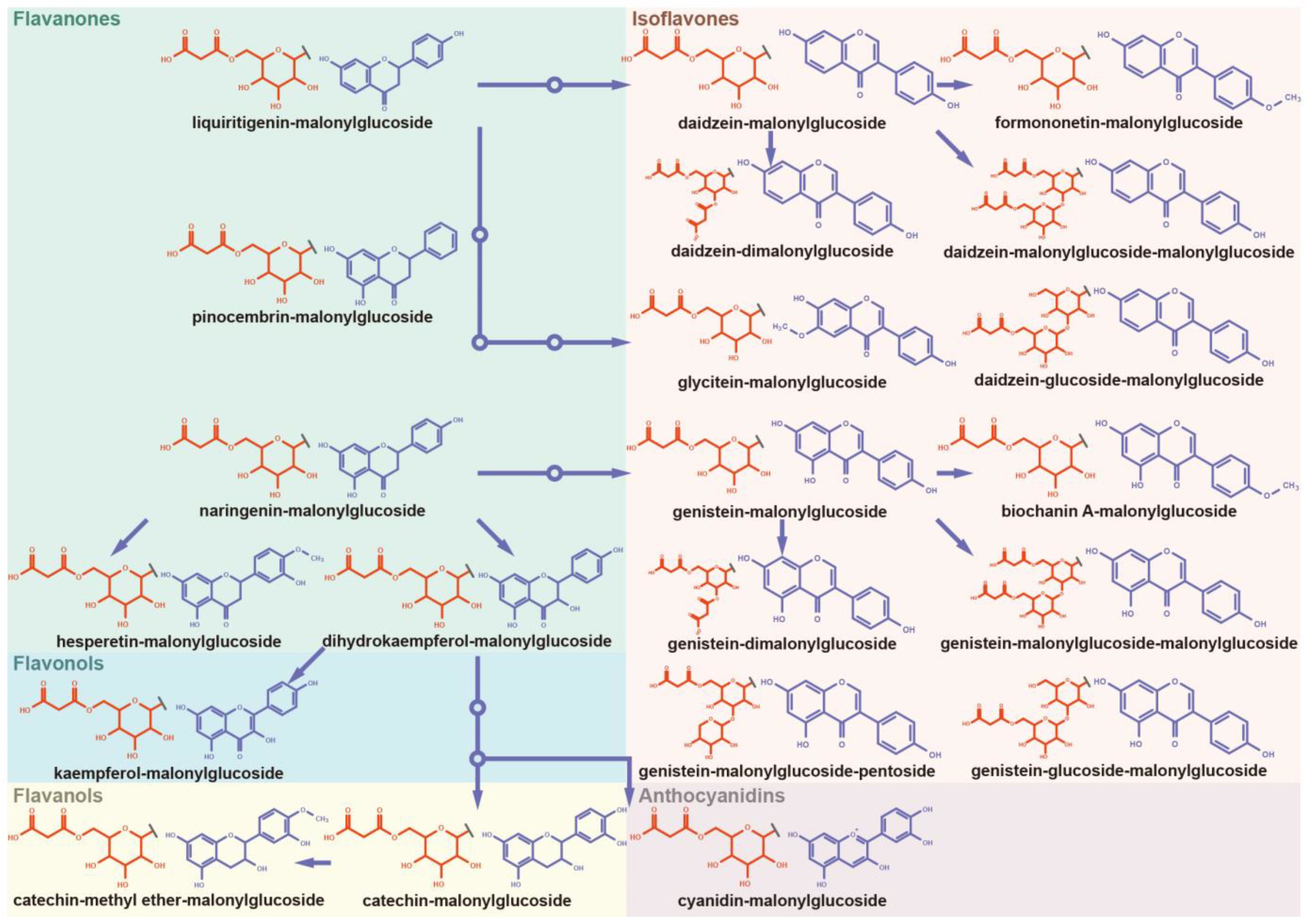 Antioxidants 12 00912 g004 Antioxidants 12 00912 g004