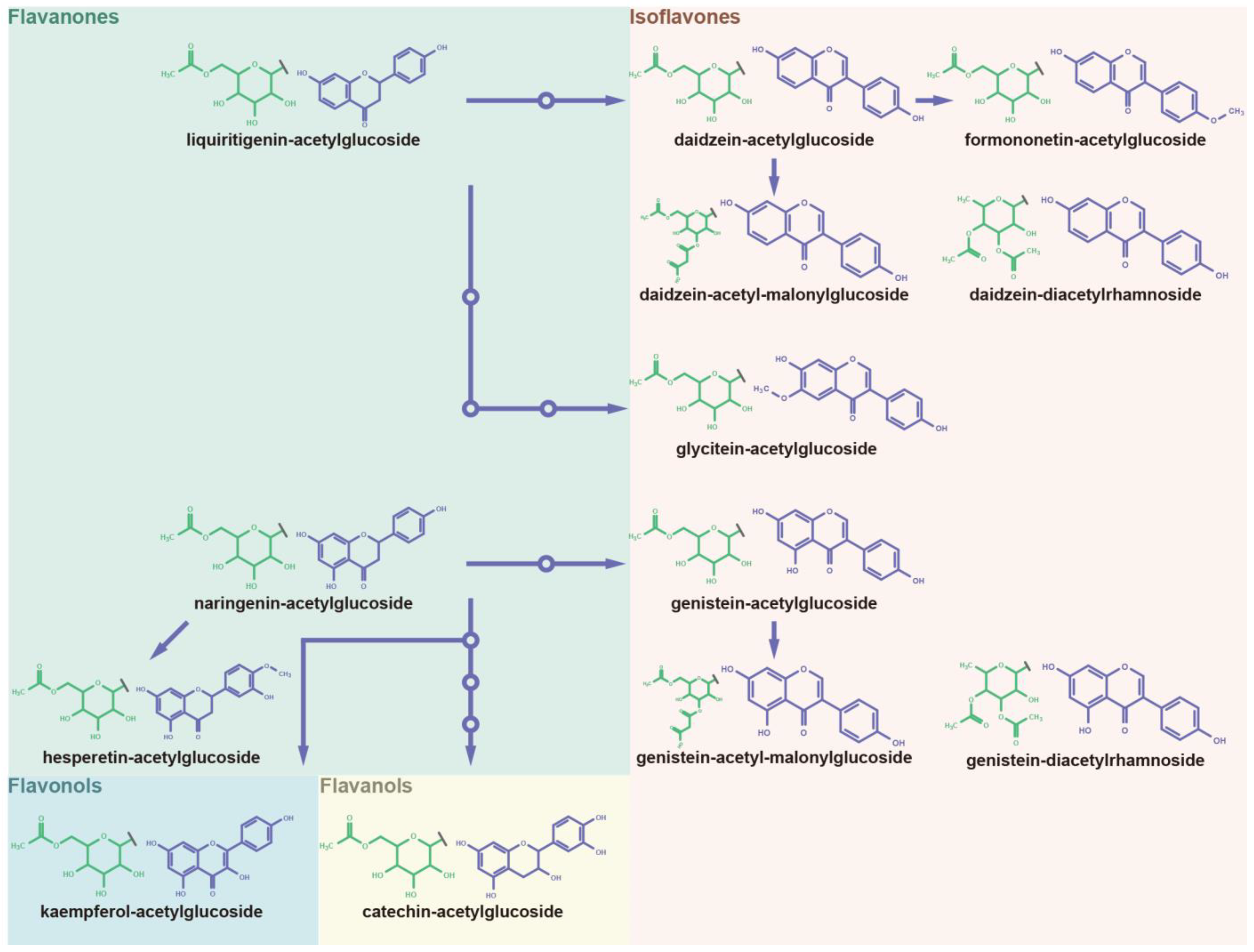 Antioxidants 12 00912 g005 Antioxidants 12 00912 g005